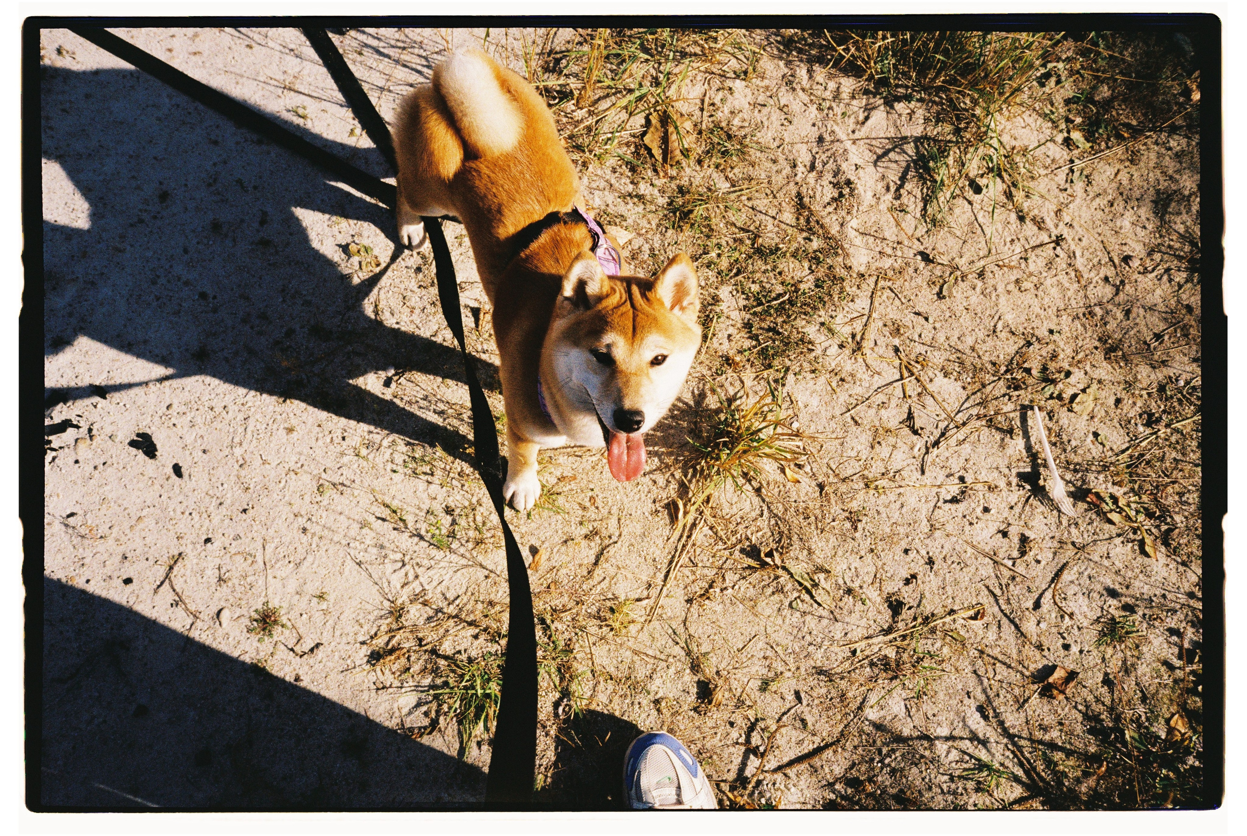 Пленка. Фотограф Андрей Куськало