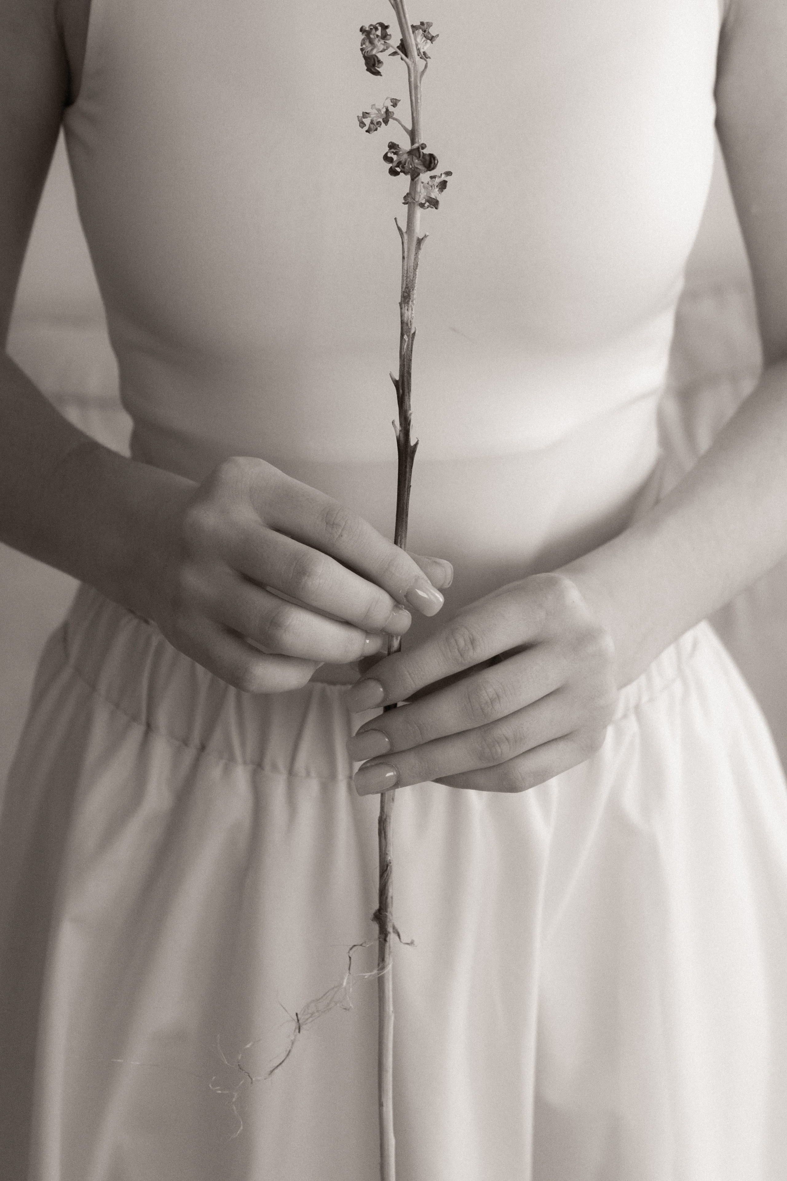 Даша. Главная