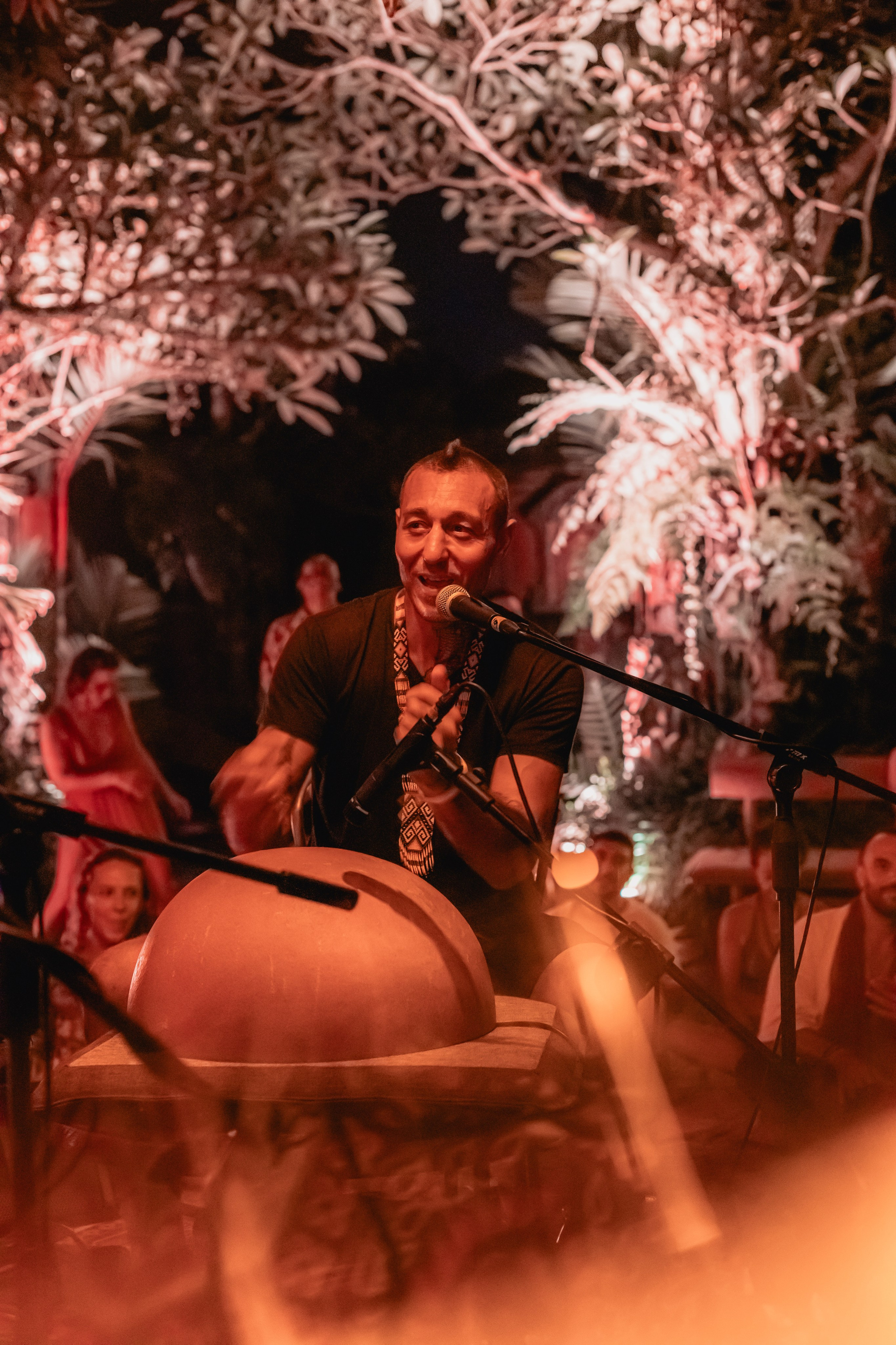 Alegria festival at Zest. Мариам Багдасарян