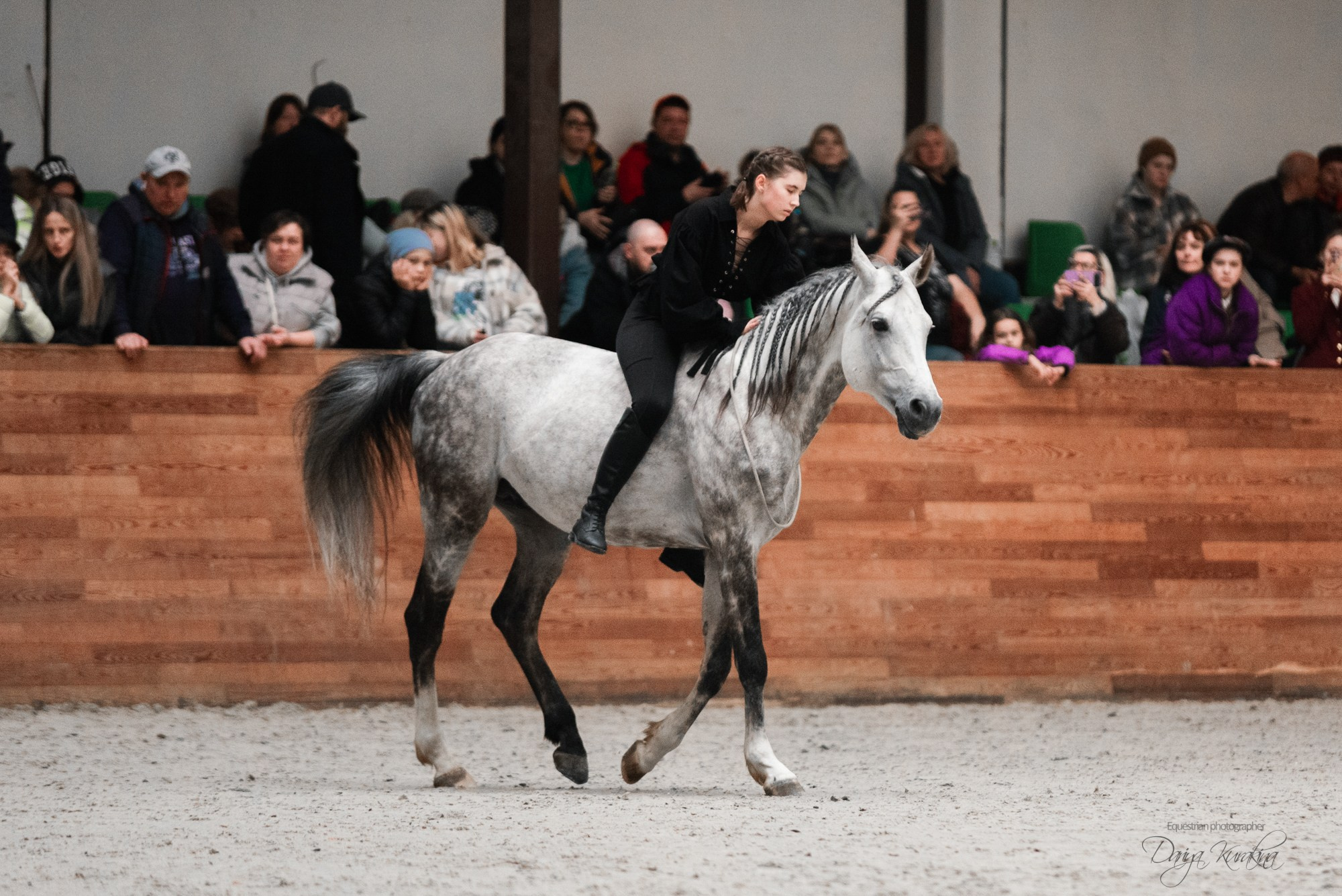 8-я международная выставка Конная Россия. Конный фотограф Куракина Дарья • Фотосессии с лошадьми