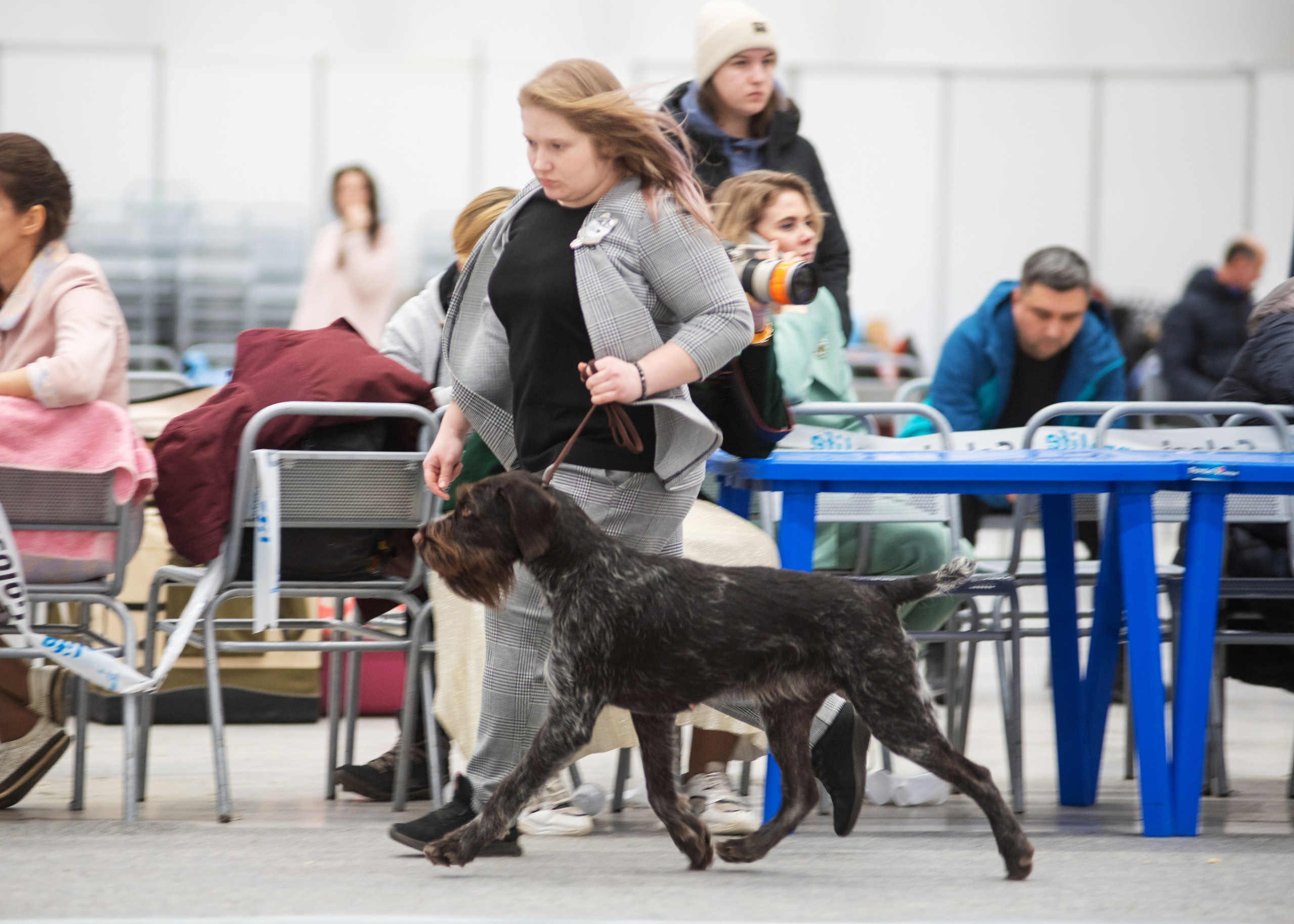 Выставка собак тюмень 14.01.2023. Дог-фотограф в Тюмени Александра Королева