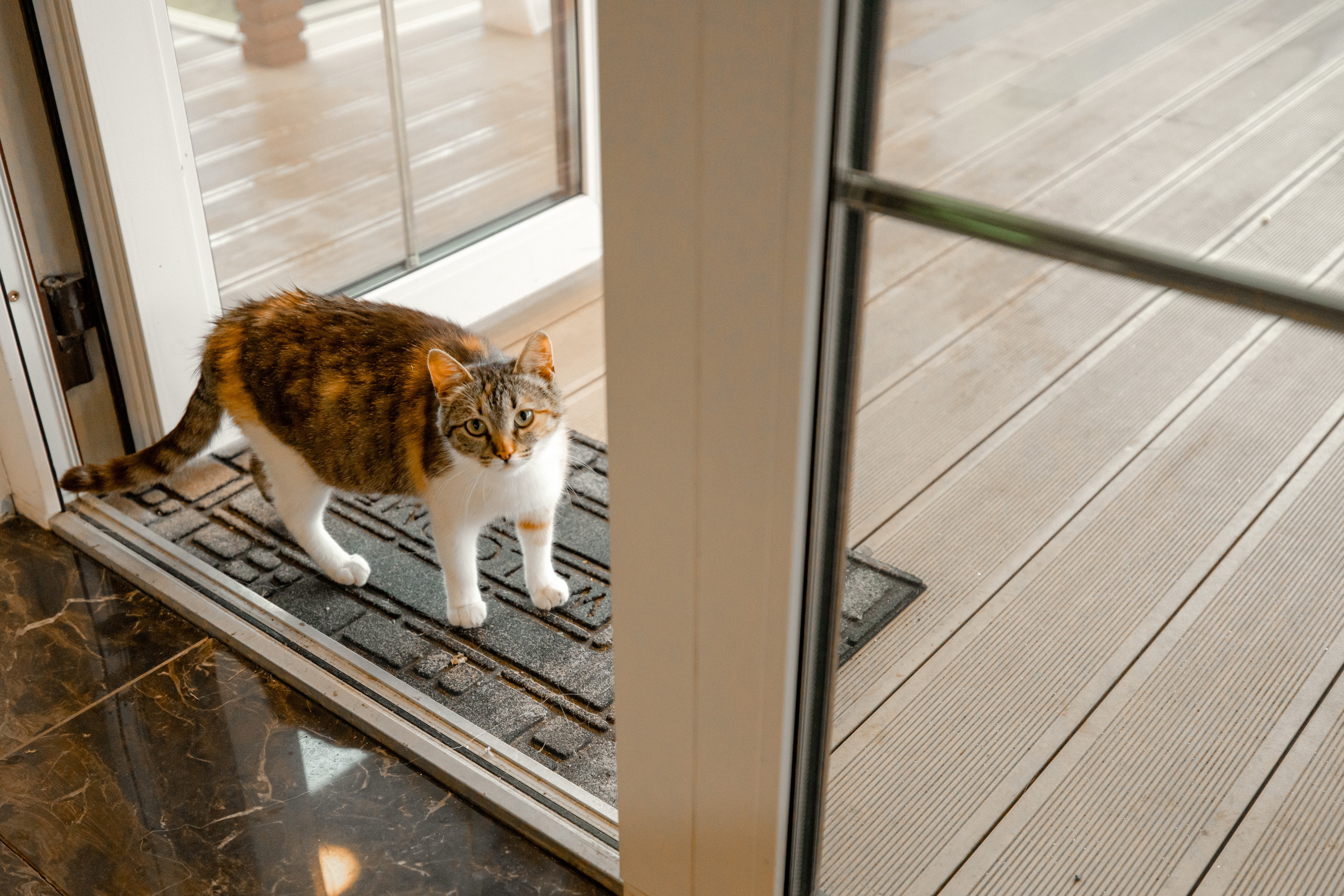 Иван и Яна. Свадебная фото-видеосъемка в Москве и Мо