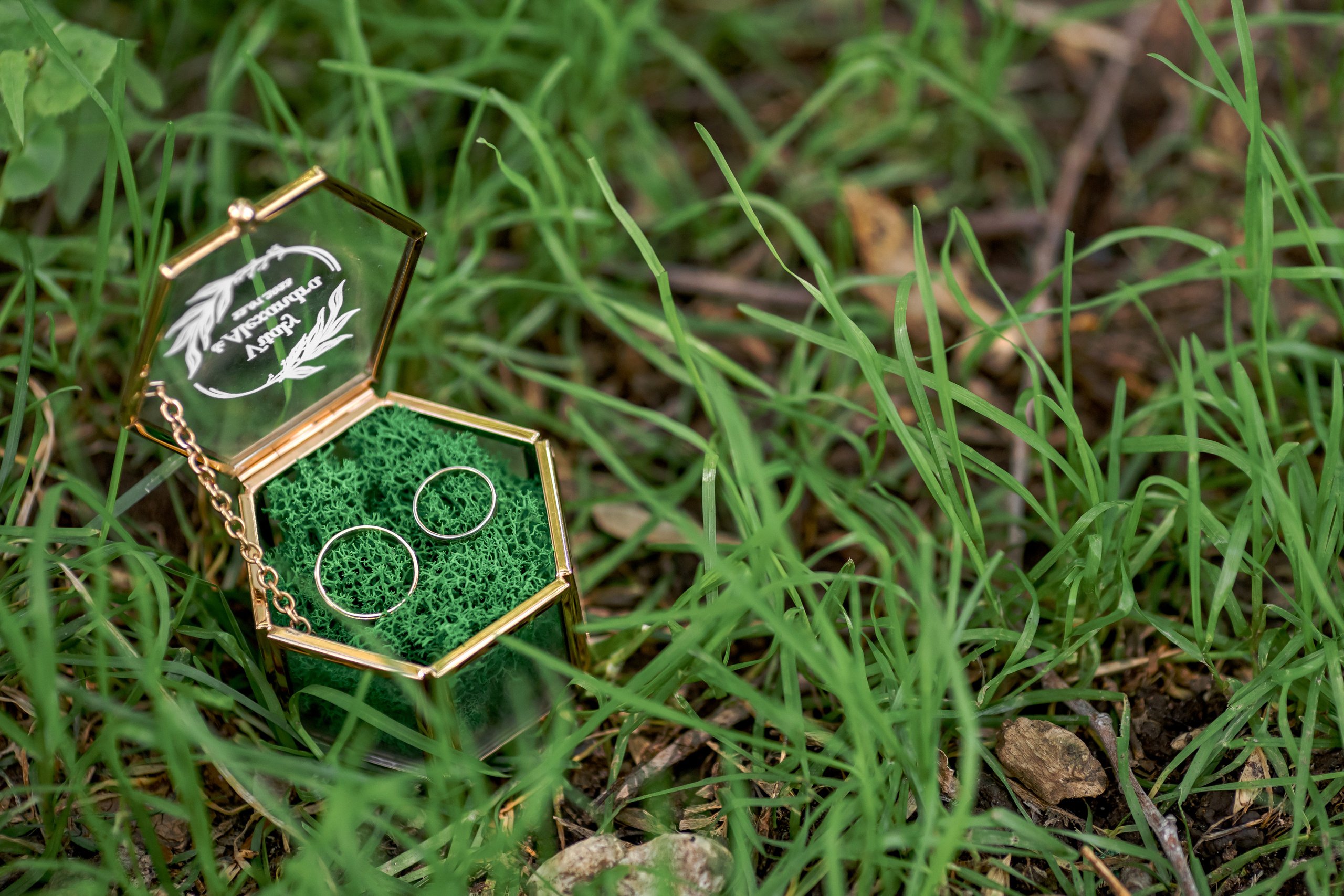 Виталий и Александра. Свадебная фото-видеосъемка в Москве и Мо