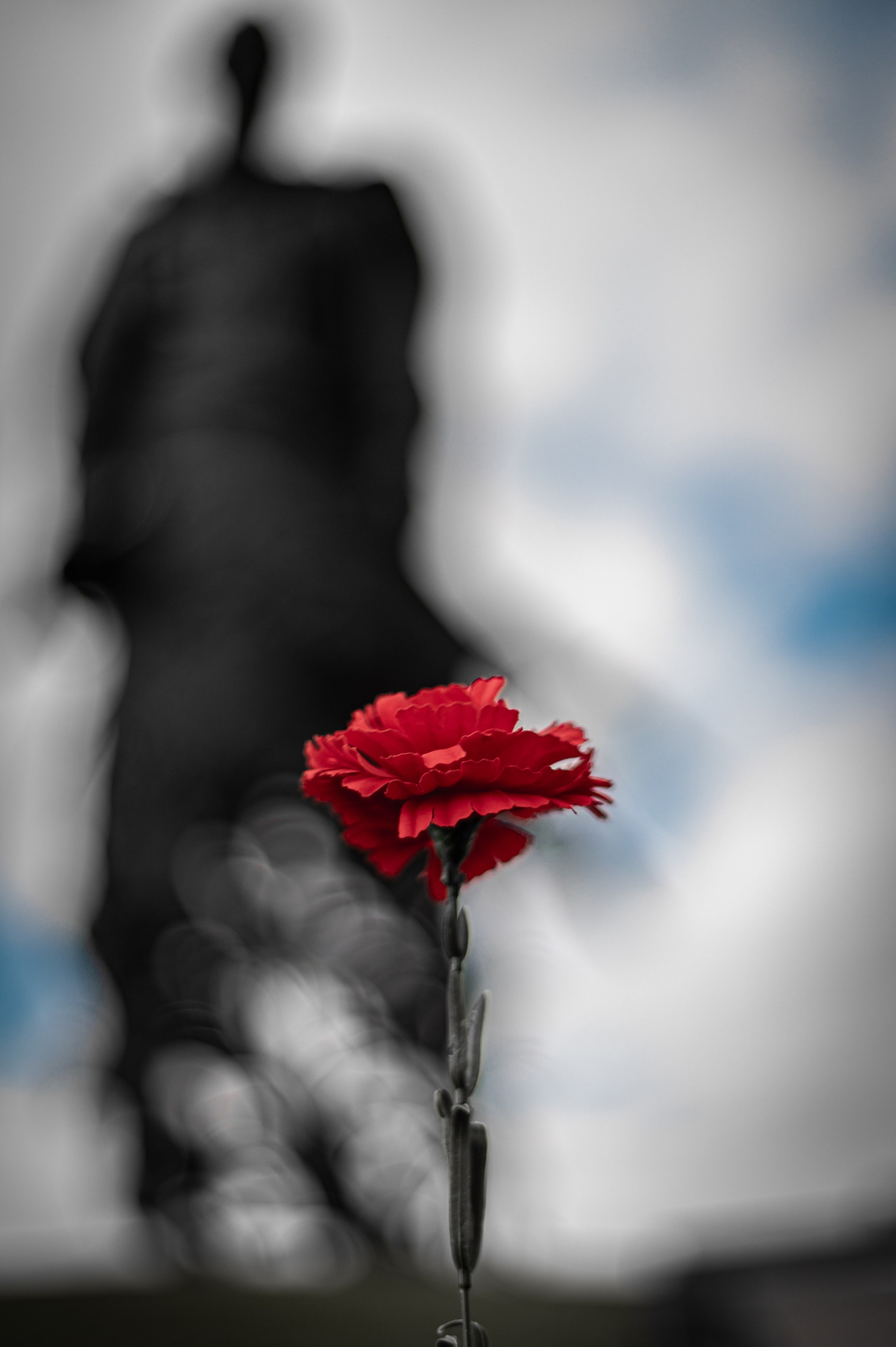 Ржевский мемориал. Фотограф Роман Адлер