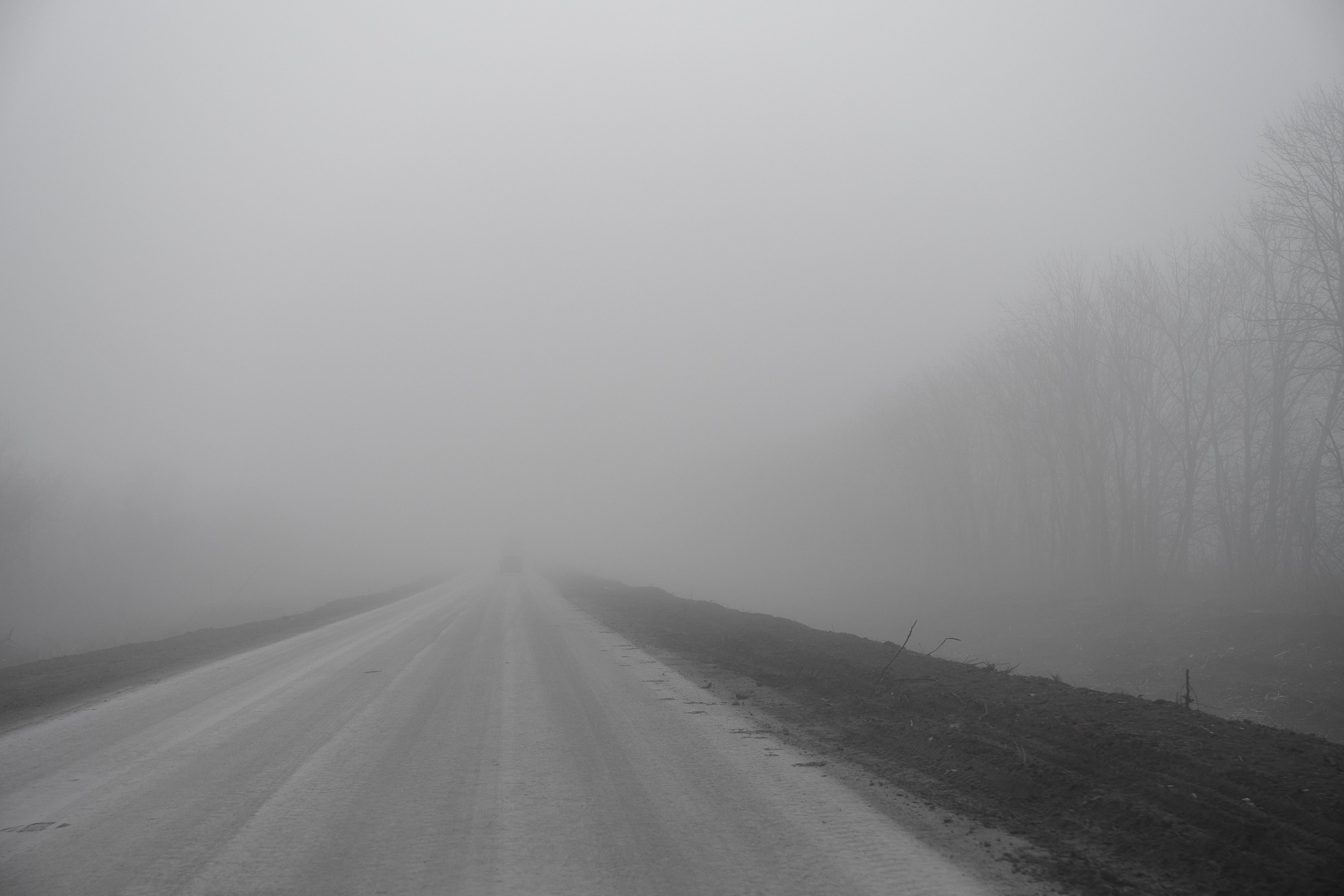 Дорога домой. Туман. Фотограф Роман Адлер