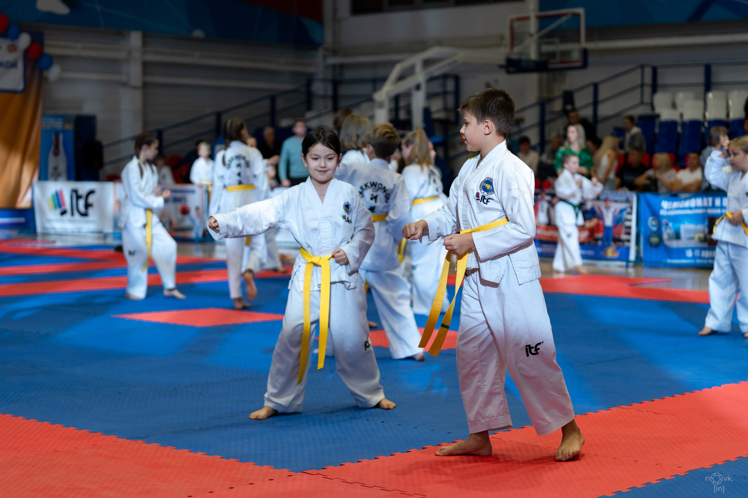 Тхэквондо. ФОТОГРАФ ИВАН НОВИКОВ | СТАВРОПОЛЬ