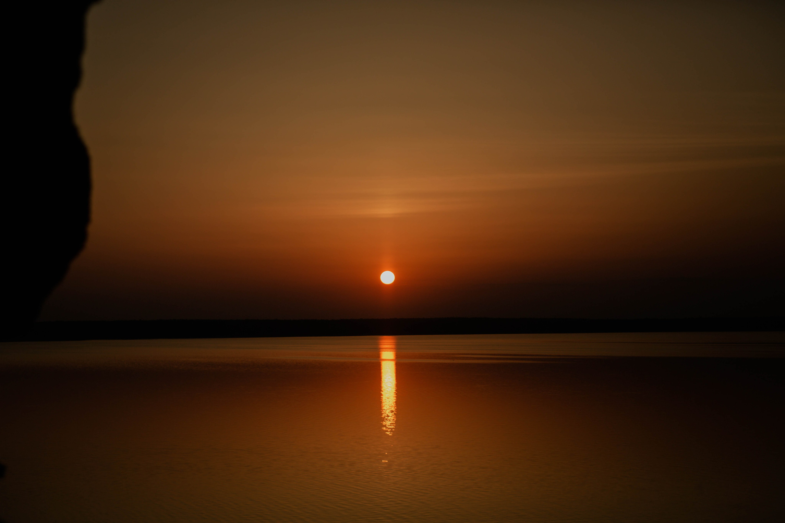 Самандар + Настя. Фотограф Елена Бухонина Челябинск