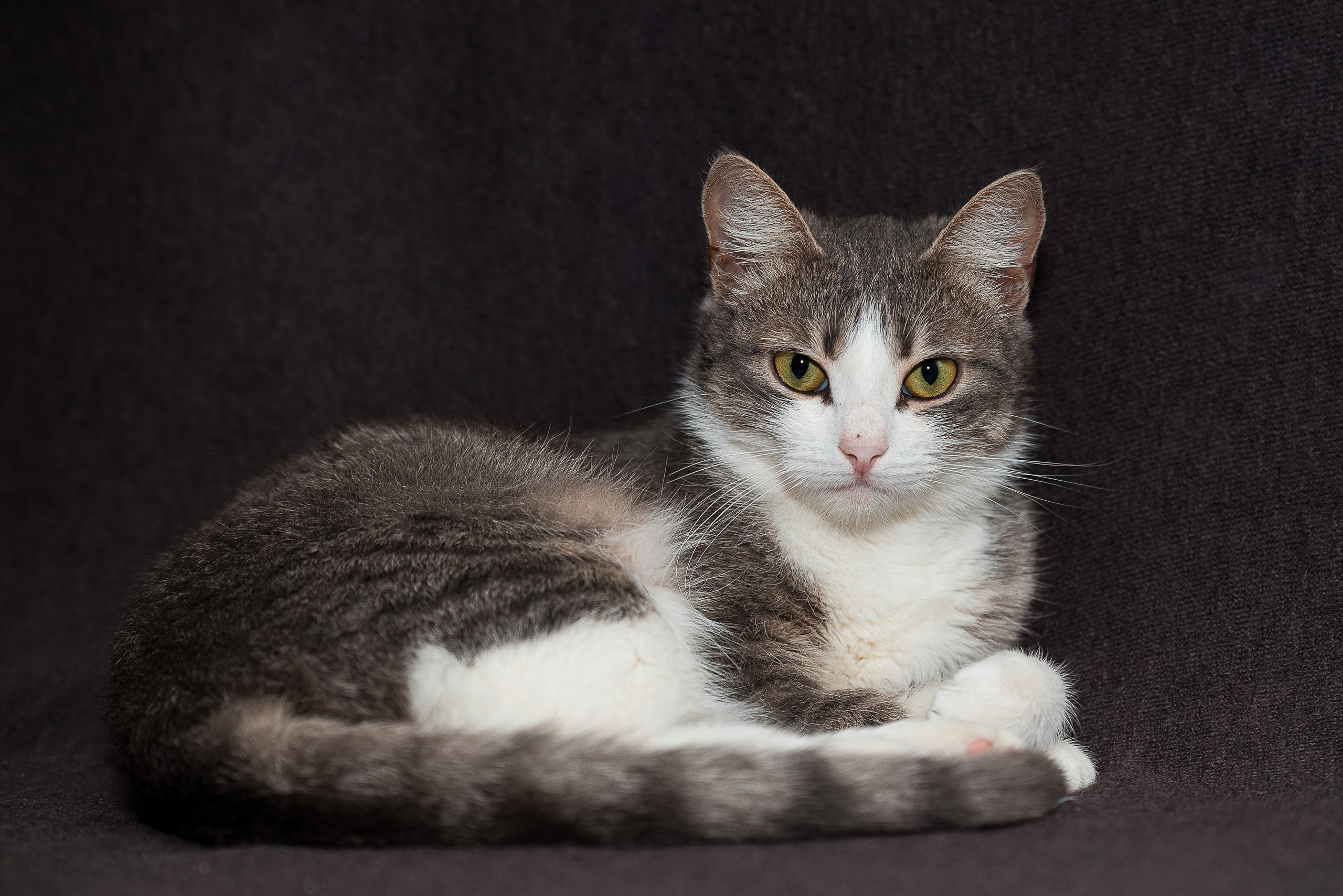 Отзывы. Фотограф Оксана Гордеева Рязань