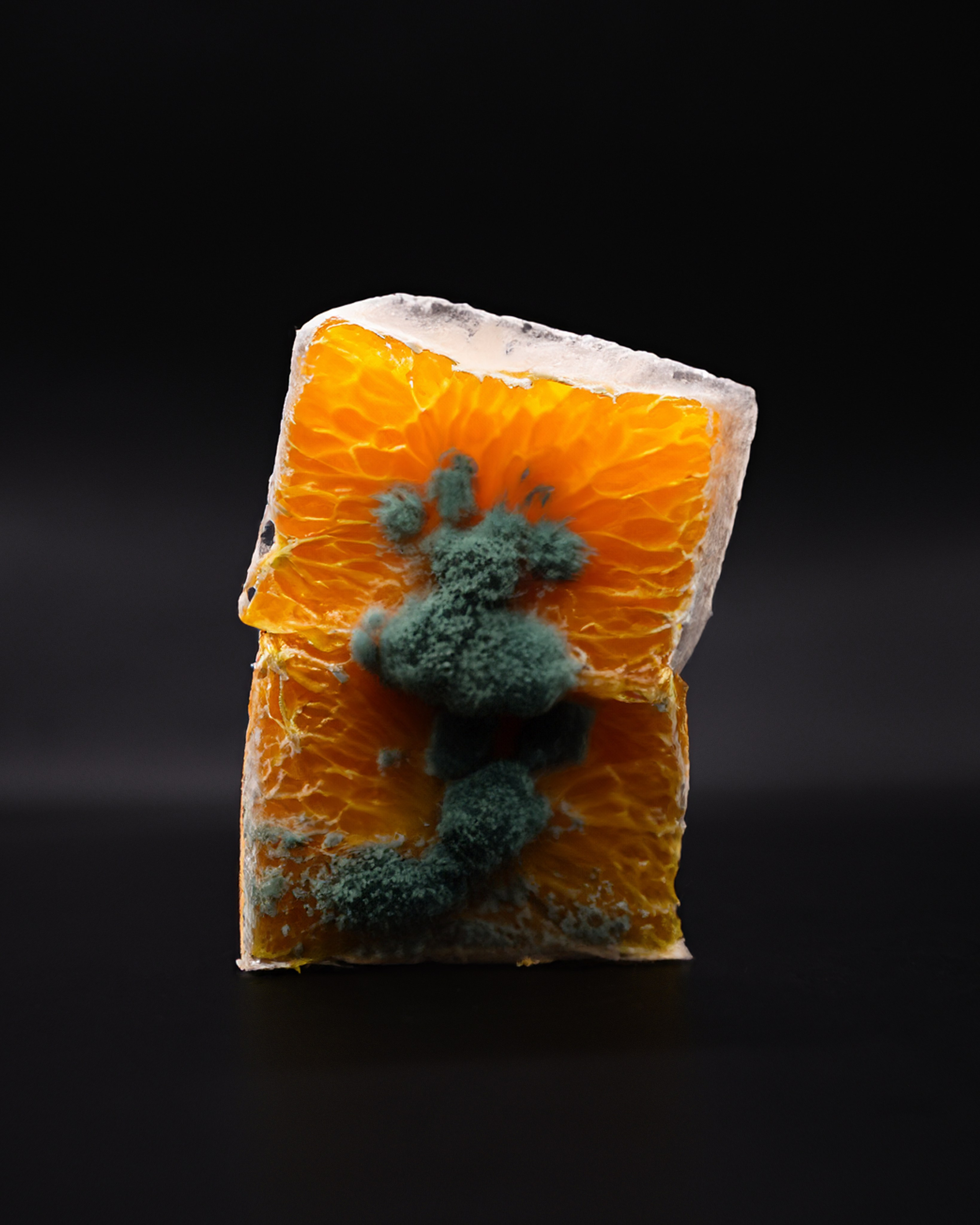 Helix. Фотограф Санкт-Петербург/ Москва Сланцем Нина