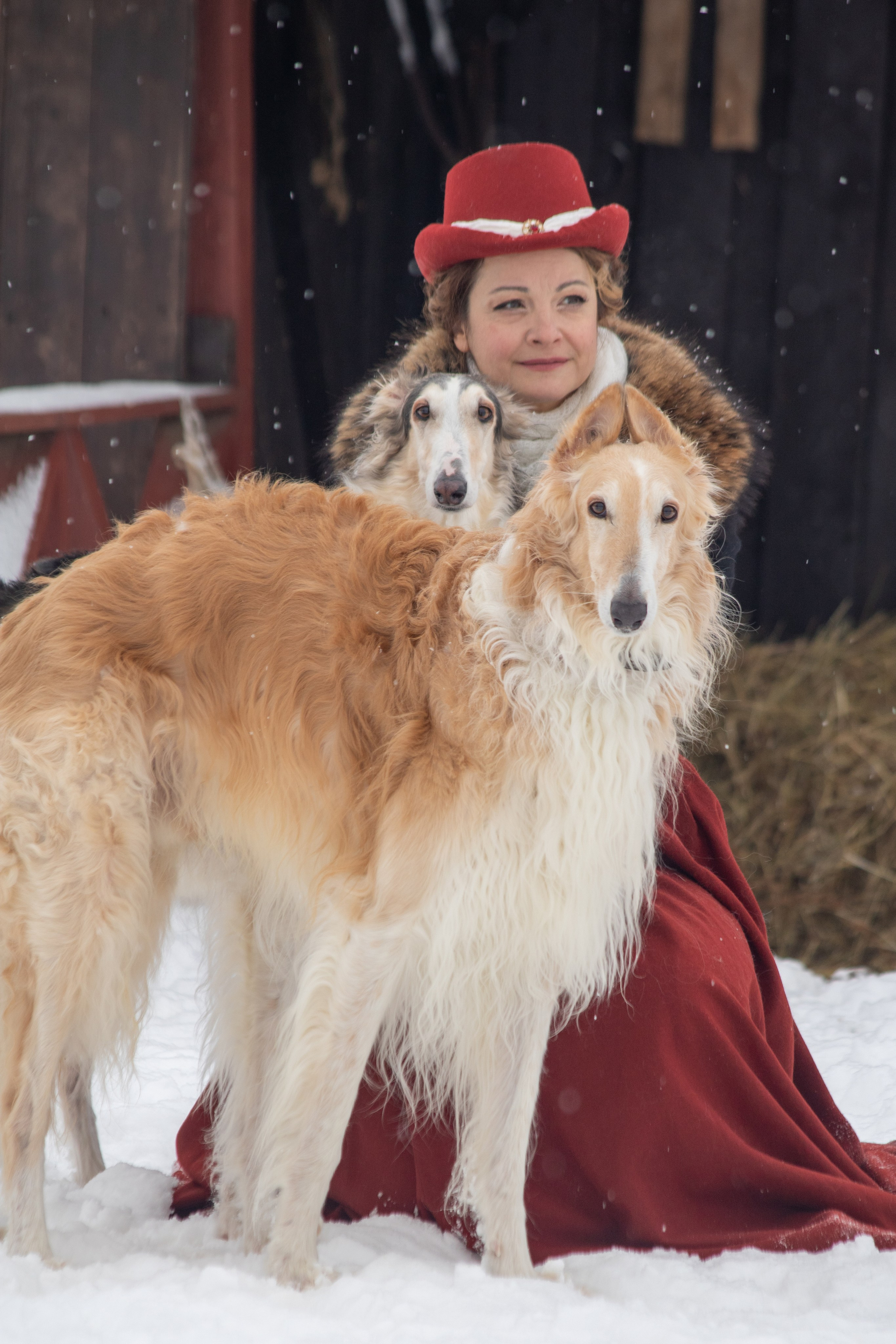 Конно-псовые охоты. Балетный фотограф в Москве Галина Молчанова
