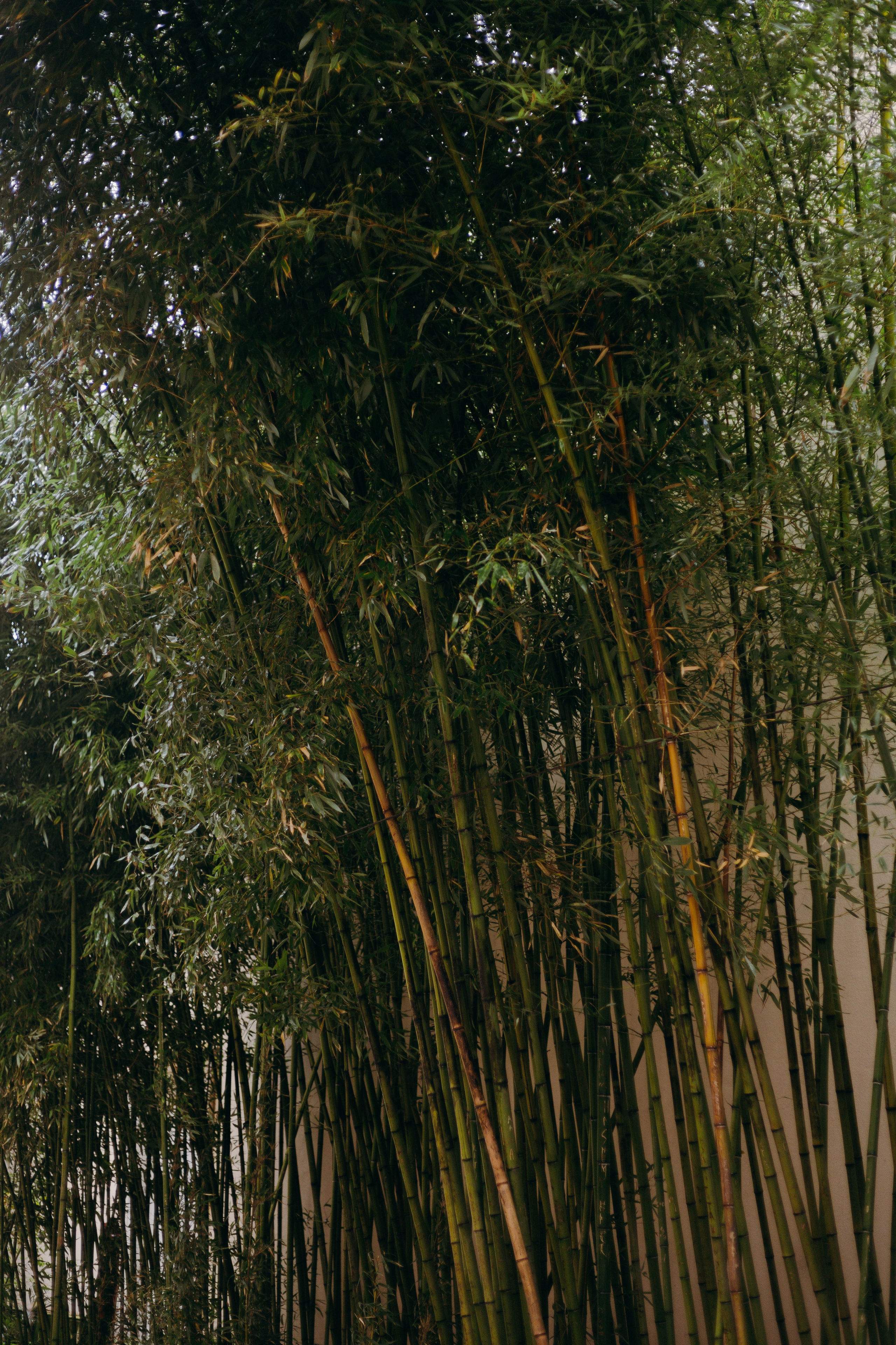 Стамбул. Профессиональный Фотограф во Владимире, в Москве и в Суздале — Полина Романычева