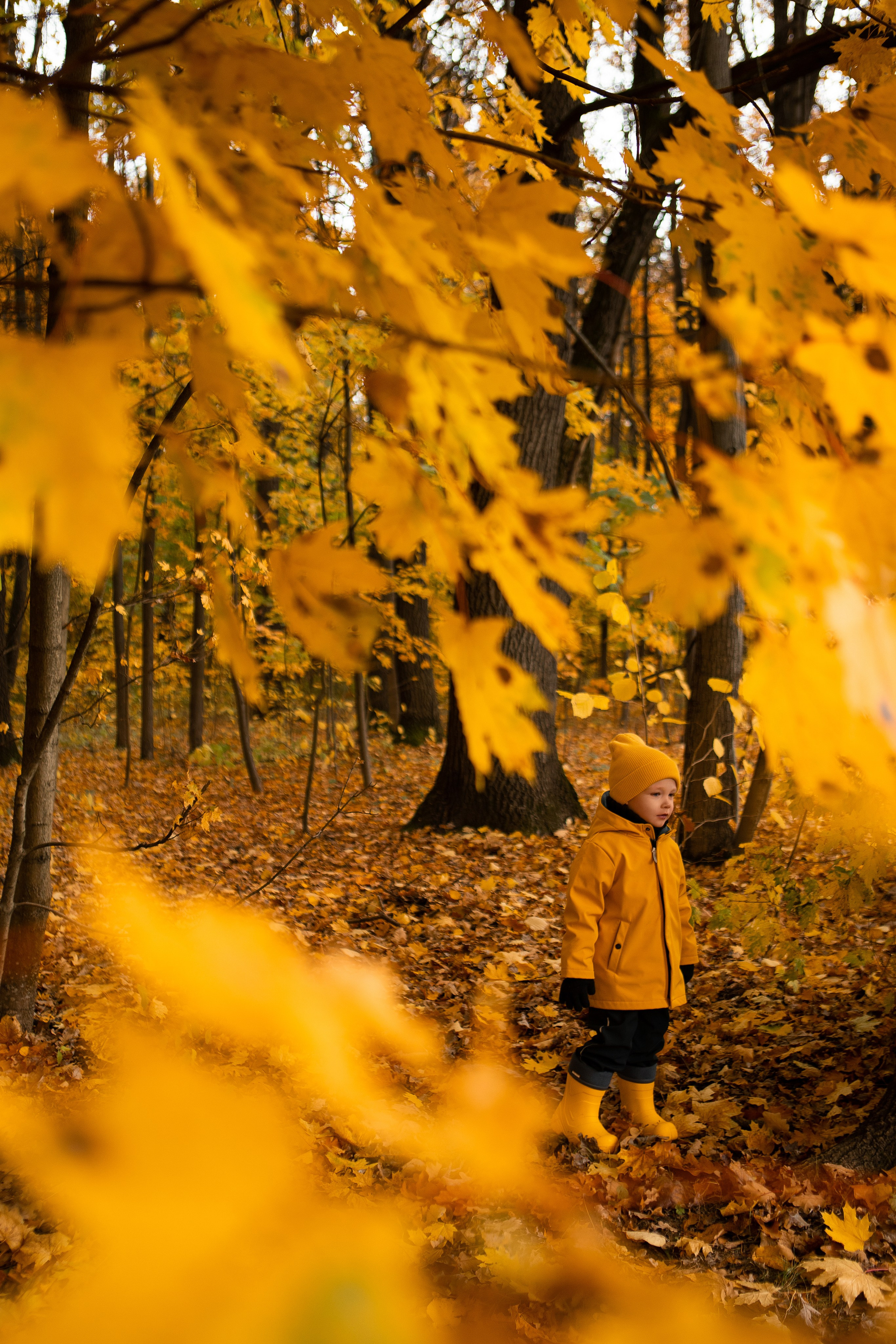 Детские осенние. Фотограф в Москве Таша Логинова