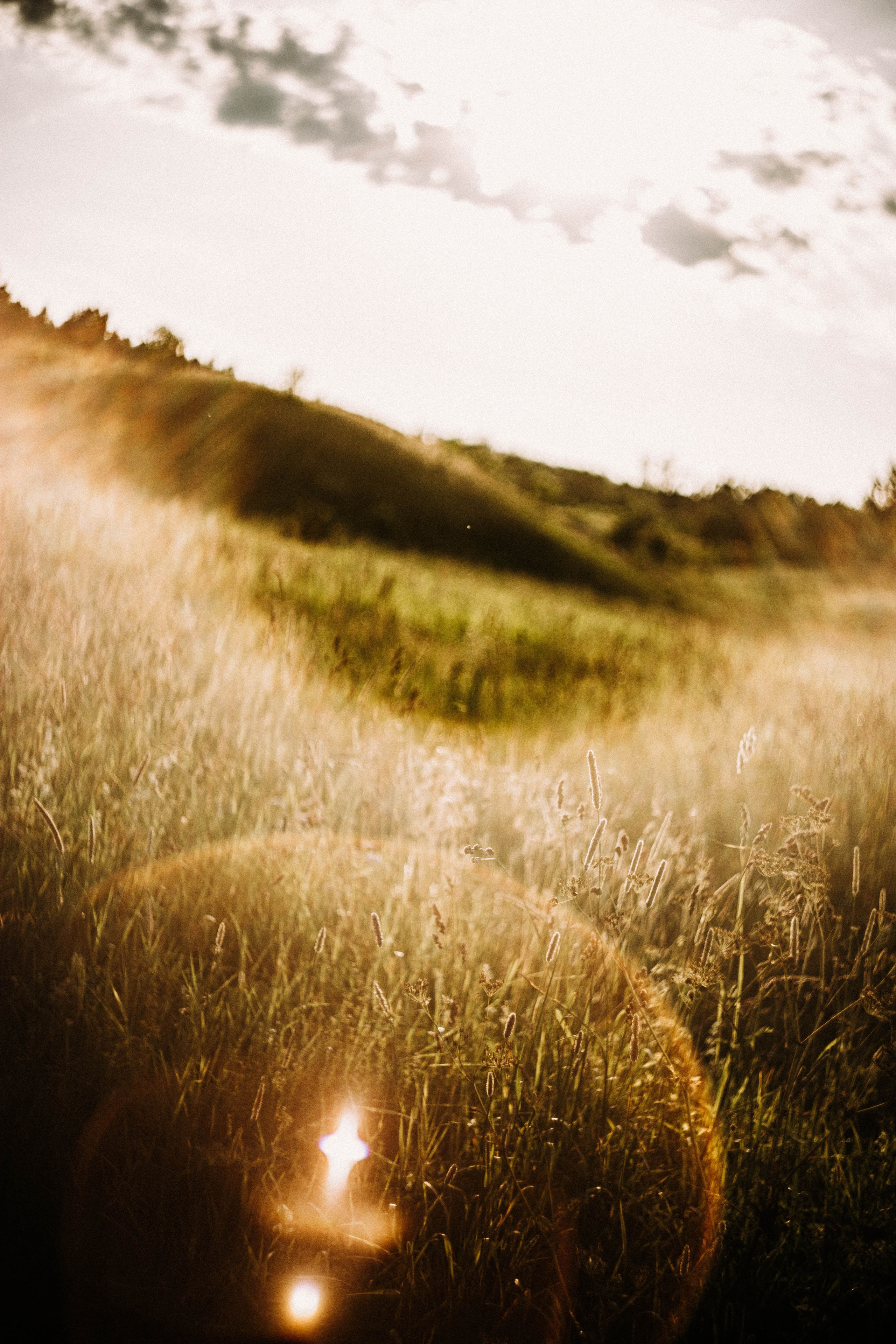 Ирина. Закат. Поле. Фотограф в Нижнем Новгороде