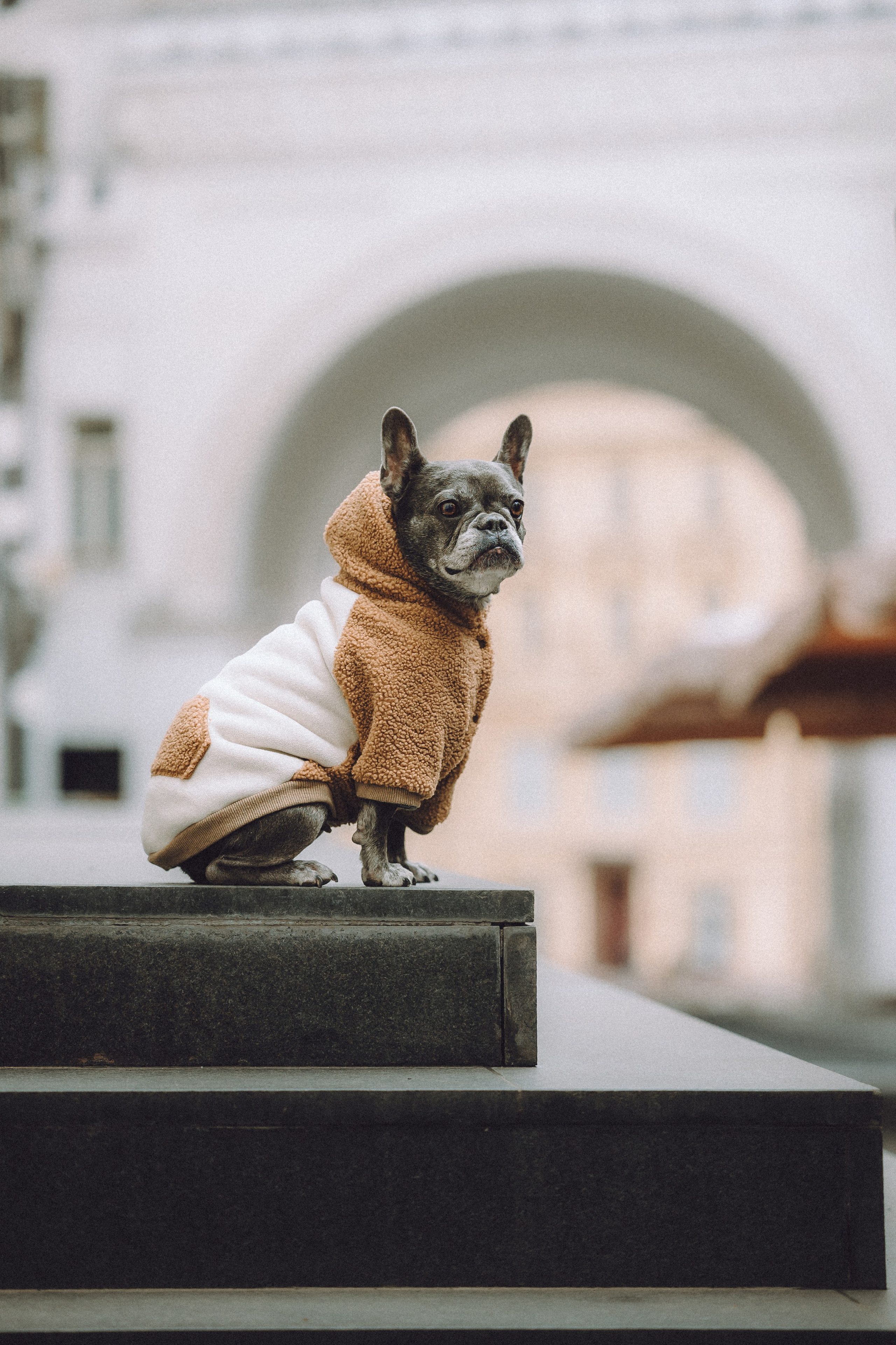 Юля, Вова и Моня