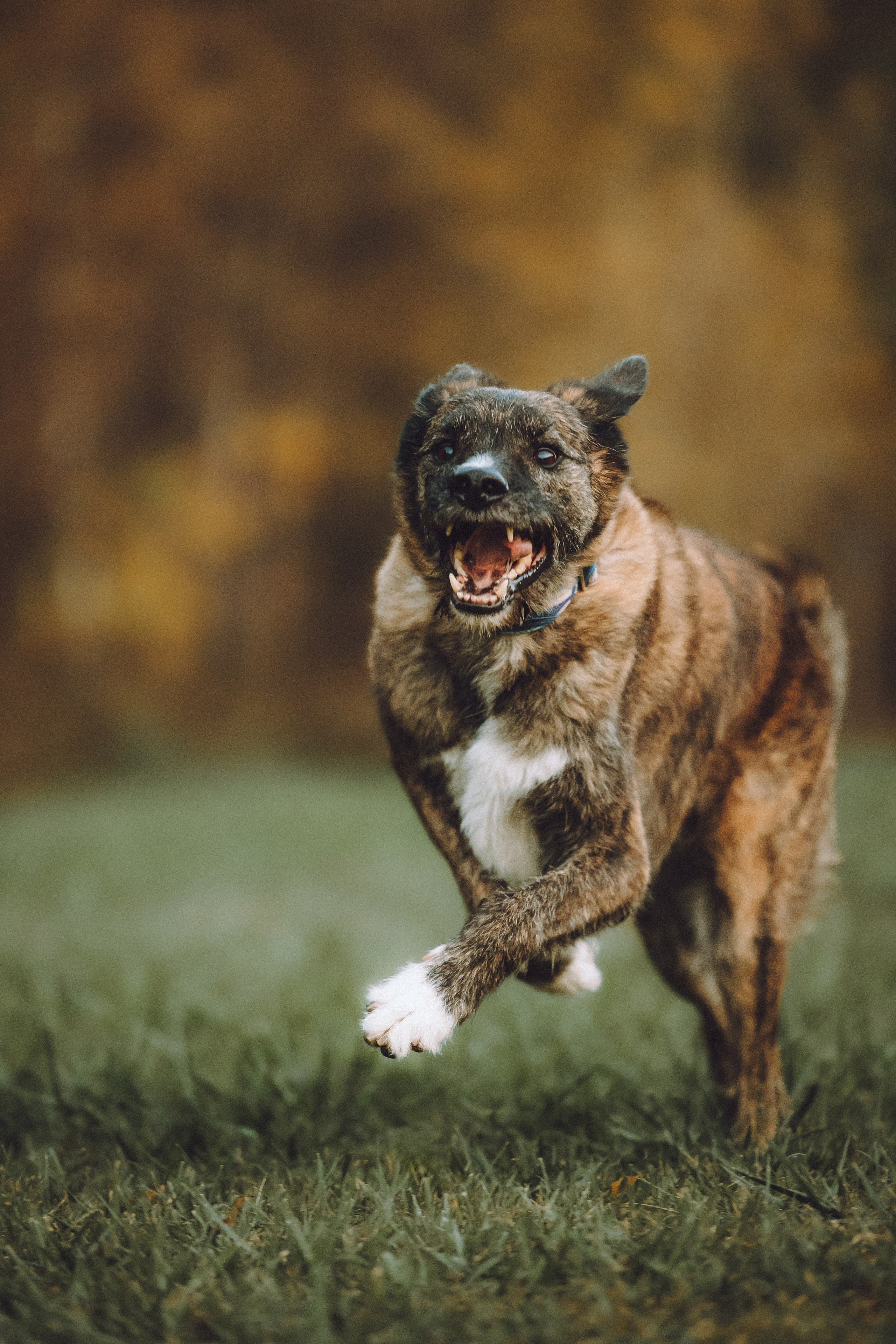 Рик, Джек и их семья