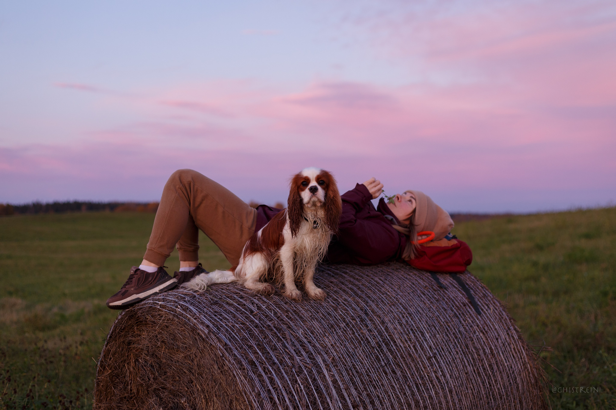 Октябрьский закат в полях. Алина и Лео. Фотограф-анималист Наталия Чистюхина в г. Сосновый Бор и ЛО