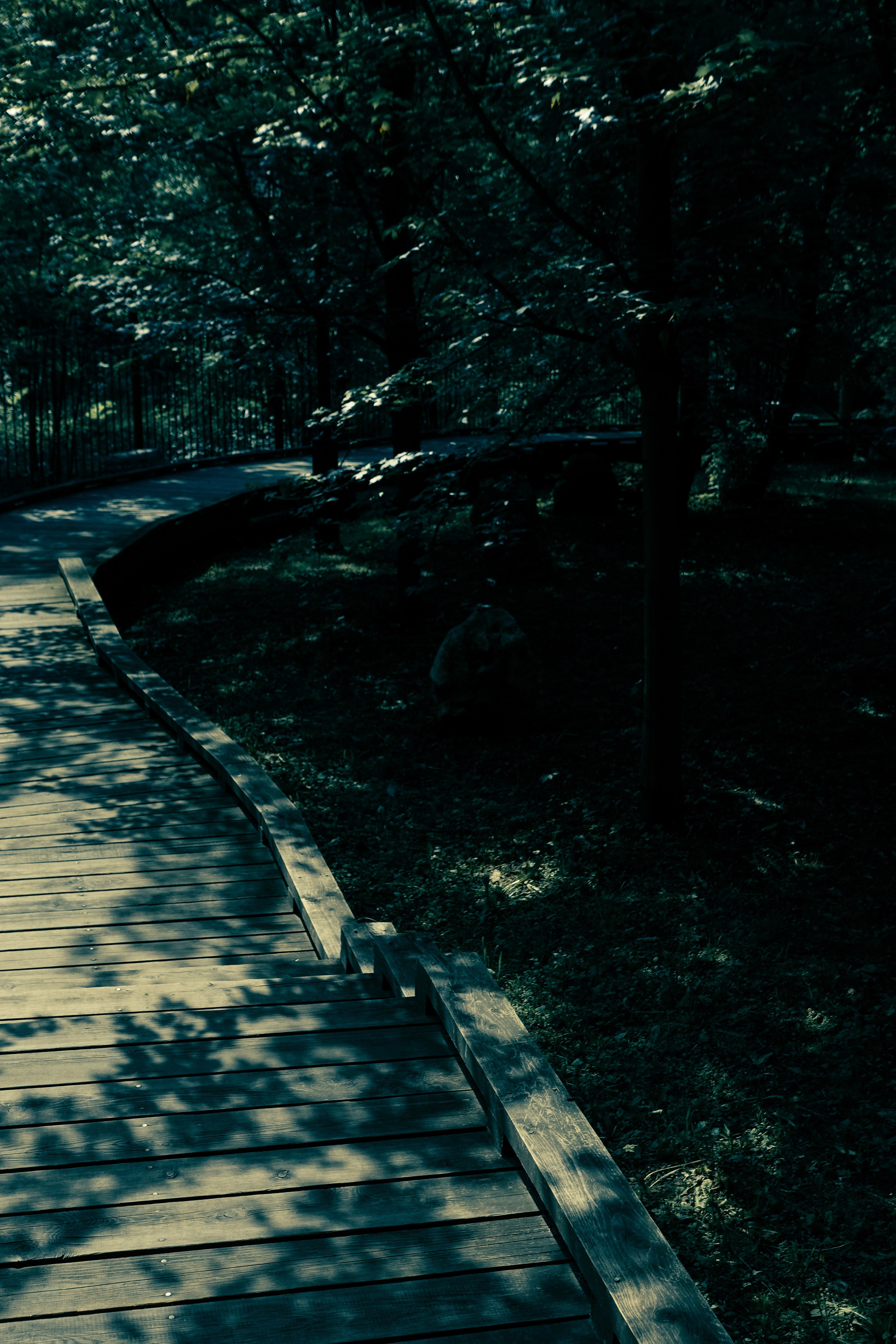 Парк Хуамин. Фотограф Алиса Аспер