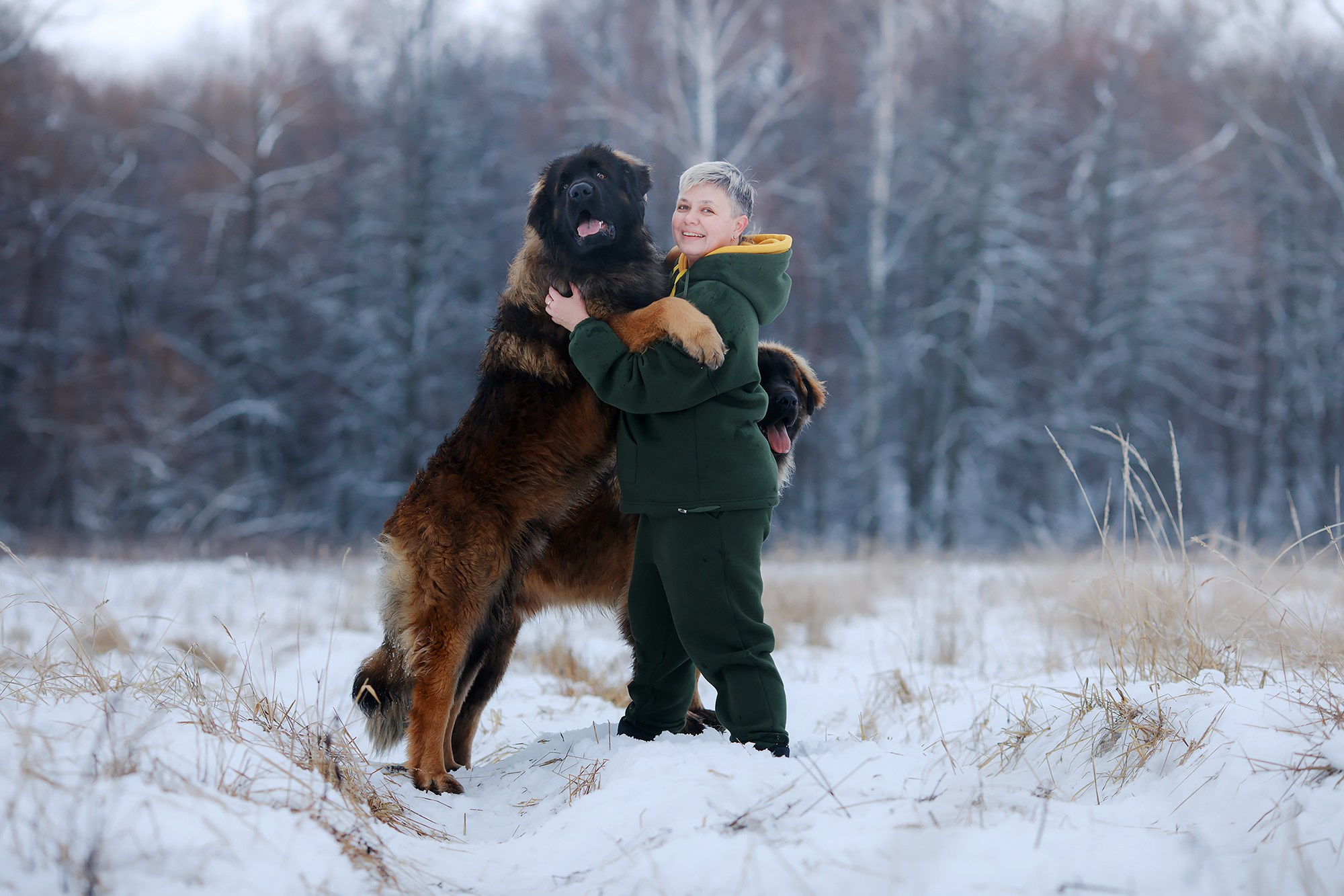 Леоненбергеры. Фотограф-анималист Mary Mart — Москва, Питер