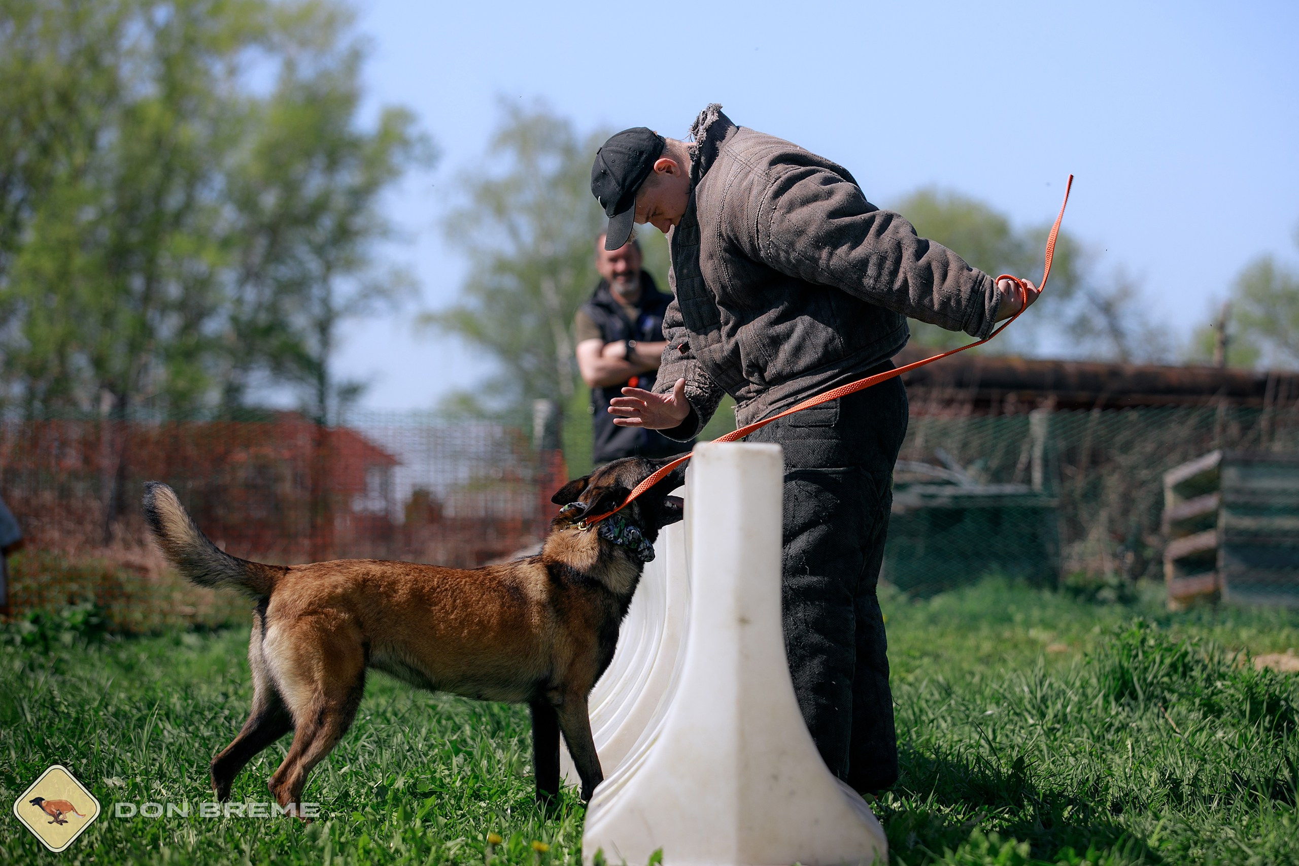 Семинар для фигурантов, день 3. Фотограф-анималист Mary Mart — Москва, Питер