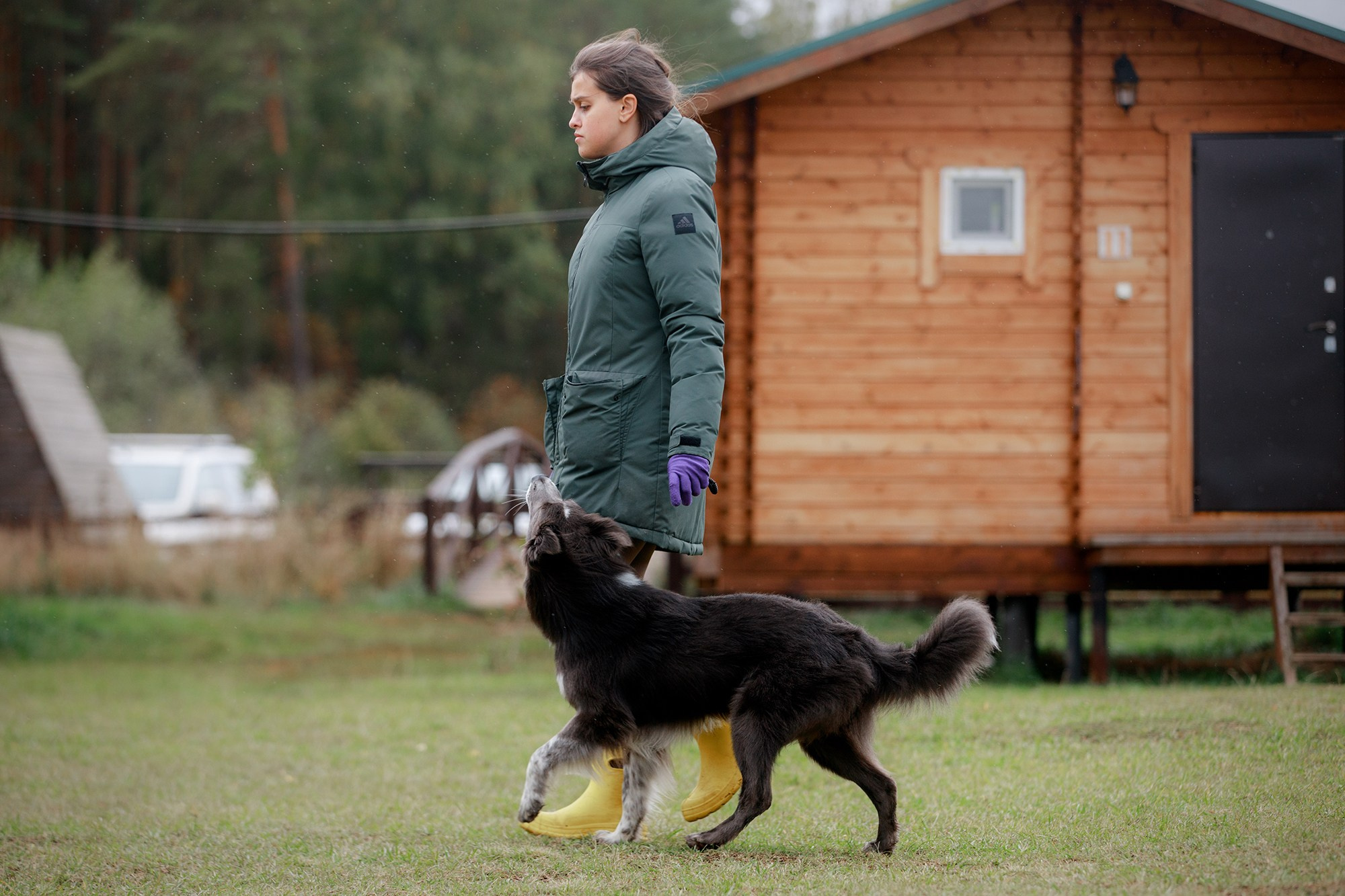 Лагерь по ОБД с Инной Баженовой. Фотограф-анималист Mary Mart — Москва, Питер