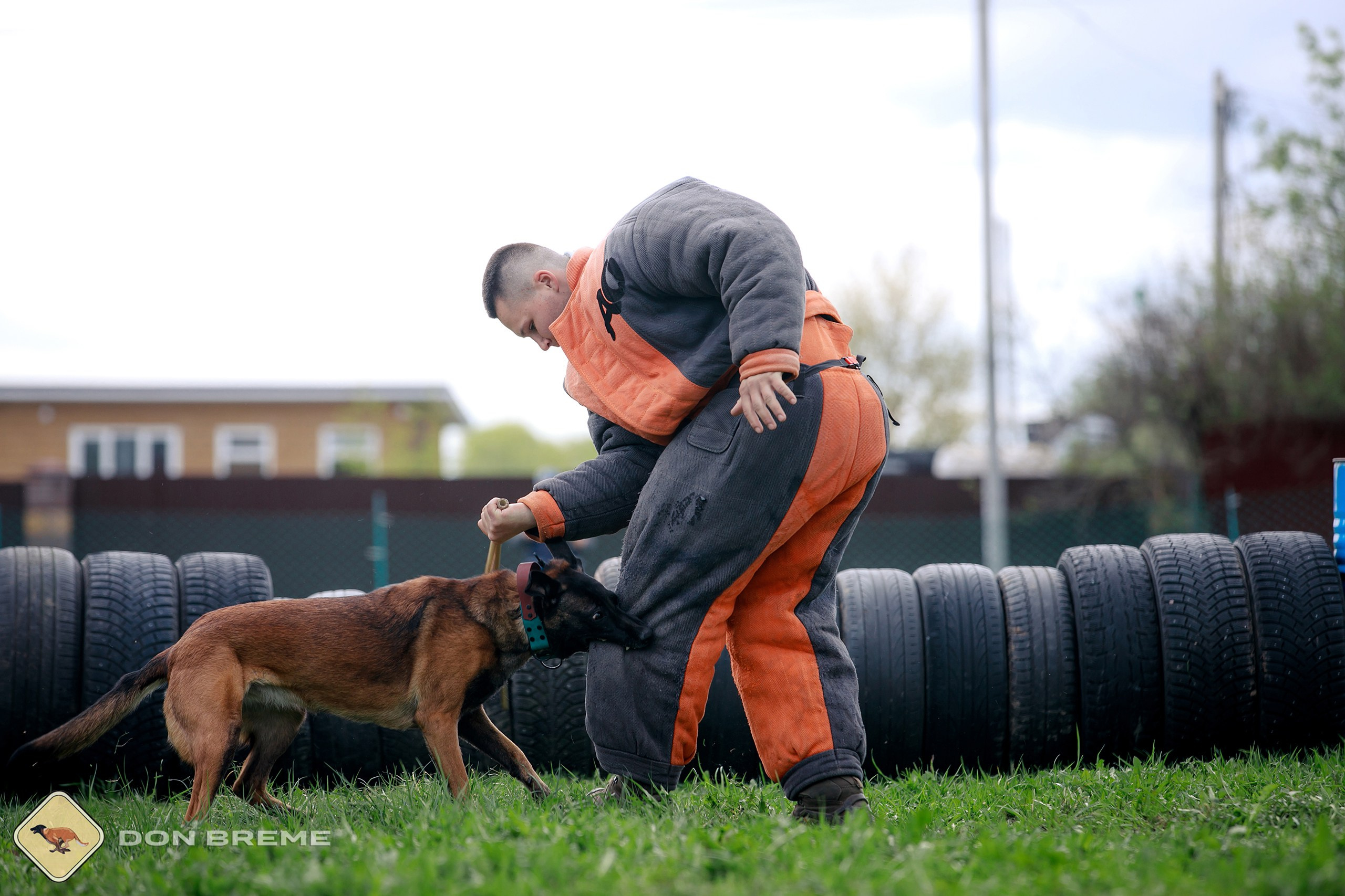 Семинар для фигурантов, день 2. Фотограф-анималист Mary Mart — Москва, Питер