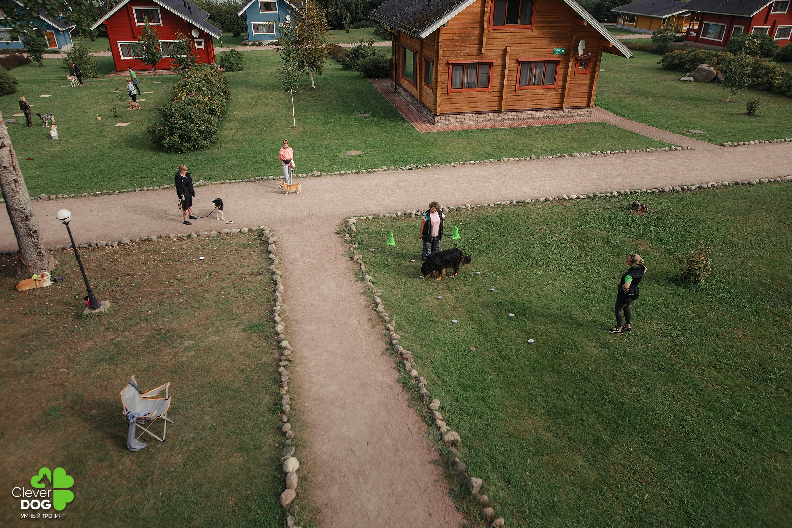 Кинологический лагерь CleverDog, 2024. Фотограф-анималист Mary Mart — Москва, Питер