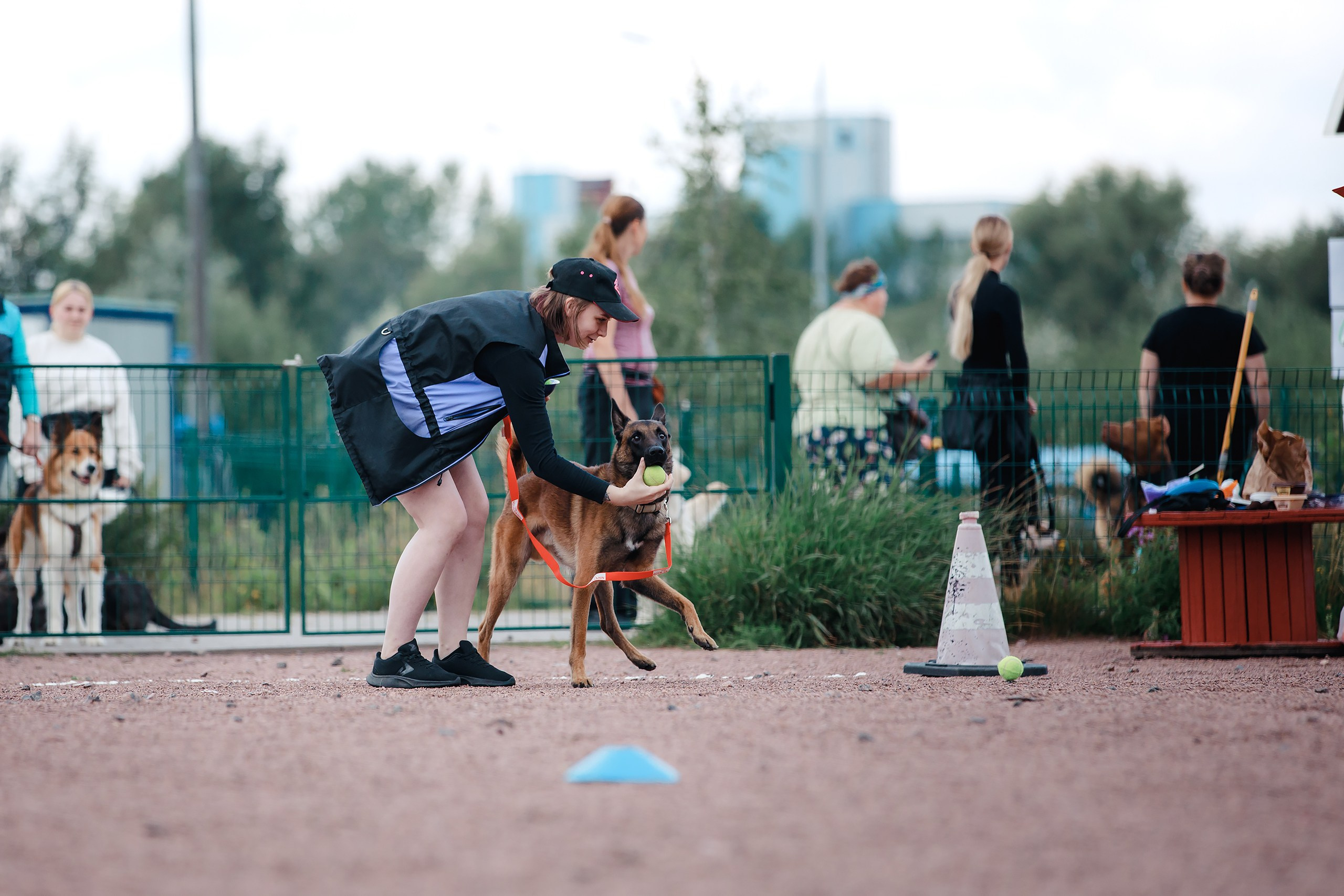Питч&Гоу + веселые старты. Фотограф-анималист Mary Mart — Москва, Питер
