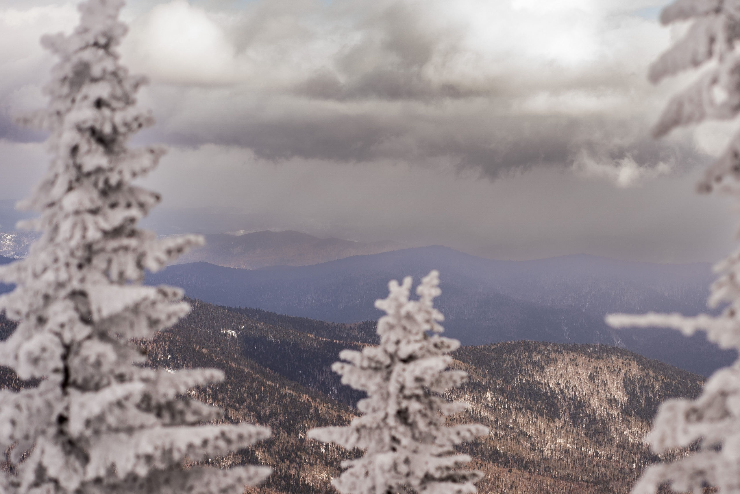 Фрирайд. Анастасия Паршукова — фотограф Шерегеш Новосибирск