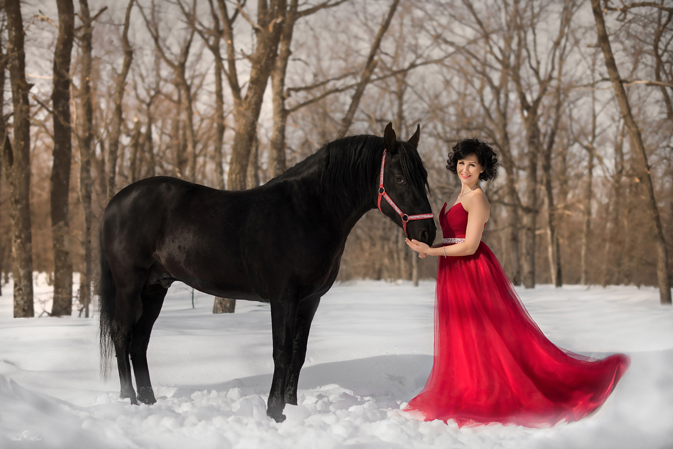 Оксана и Пират. Конный фотограф в Саратове Юлия Иванова