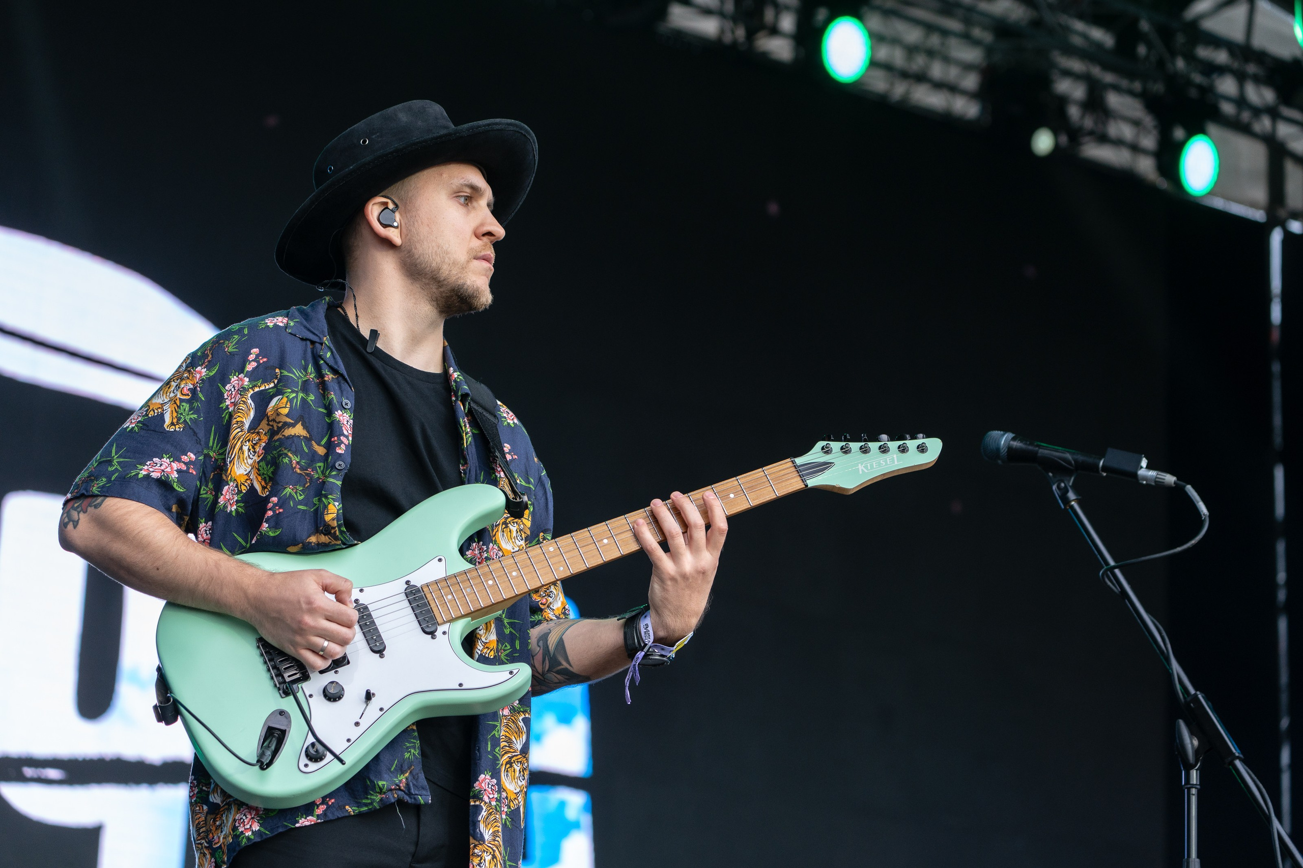 Фотографии музыкального фестиваля Дикая Мята 2025. Фотограф Николай Прокофьев модельные тесты в Москве