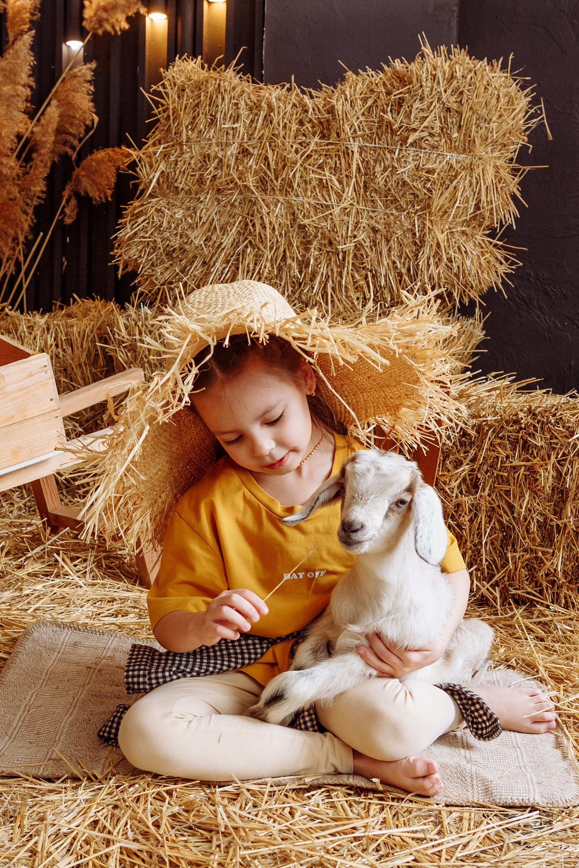 Козлик 2025. Фотограф новорожденных Тверь Диана Муляева