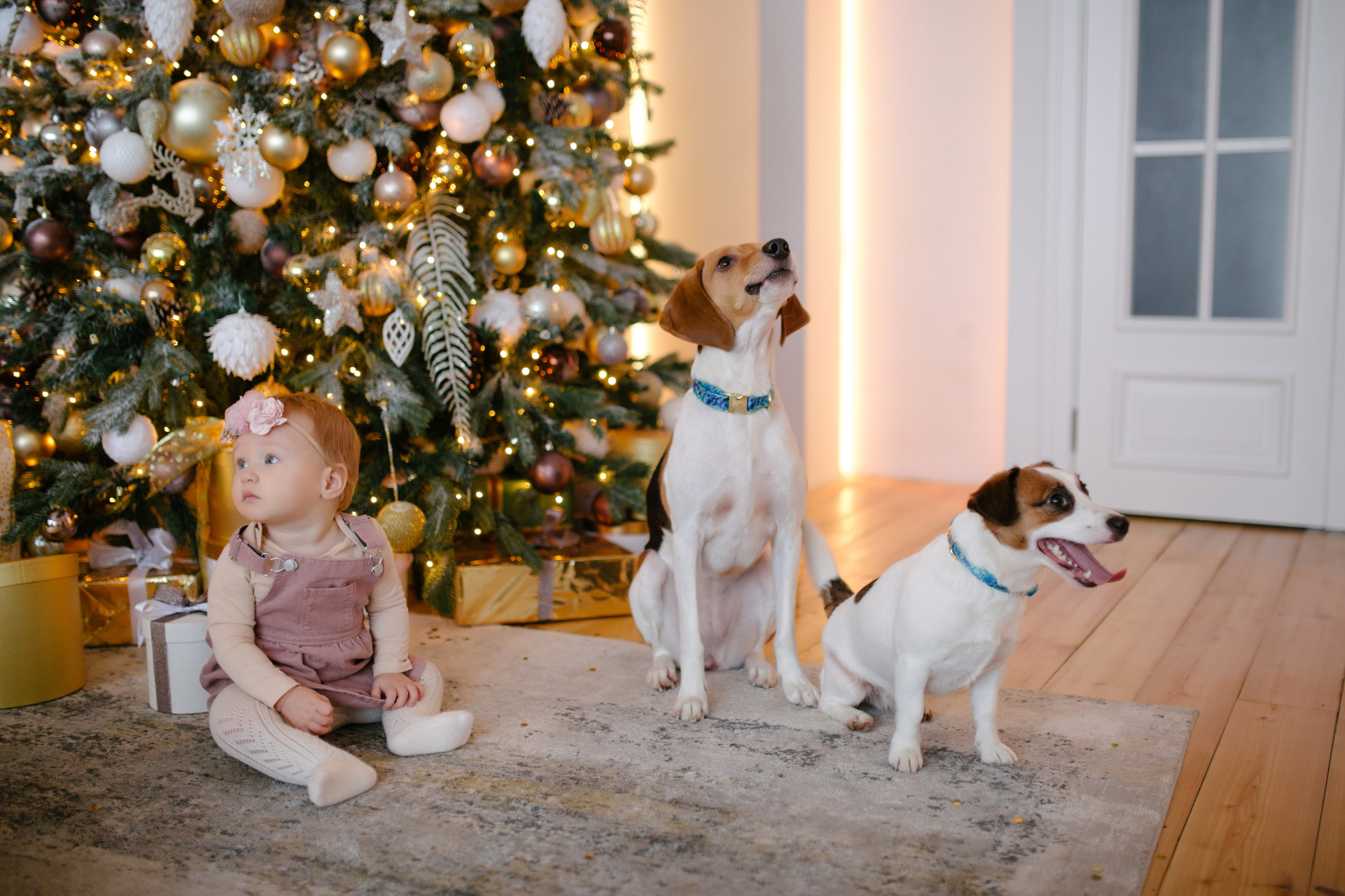 Новогодняя. Свадебный и семейный фотограф в Санкт-Петербурге Исупова Юлия
