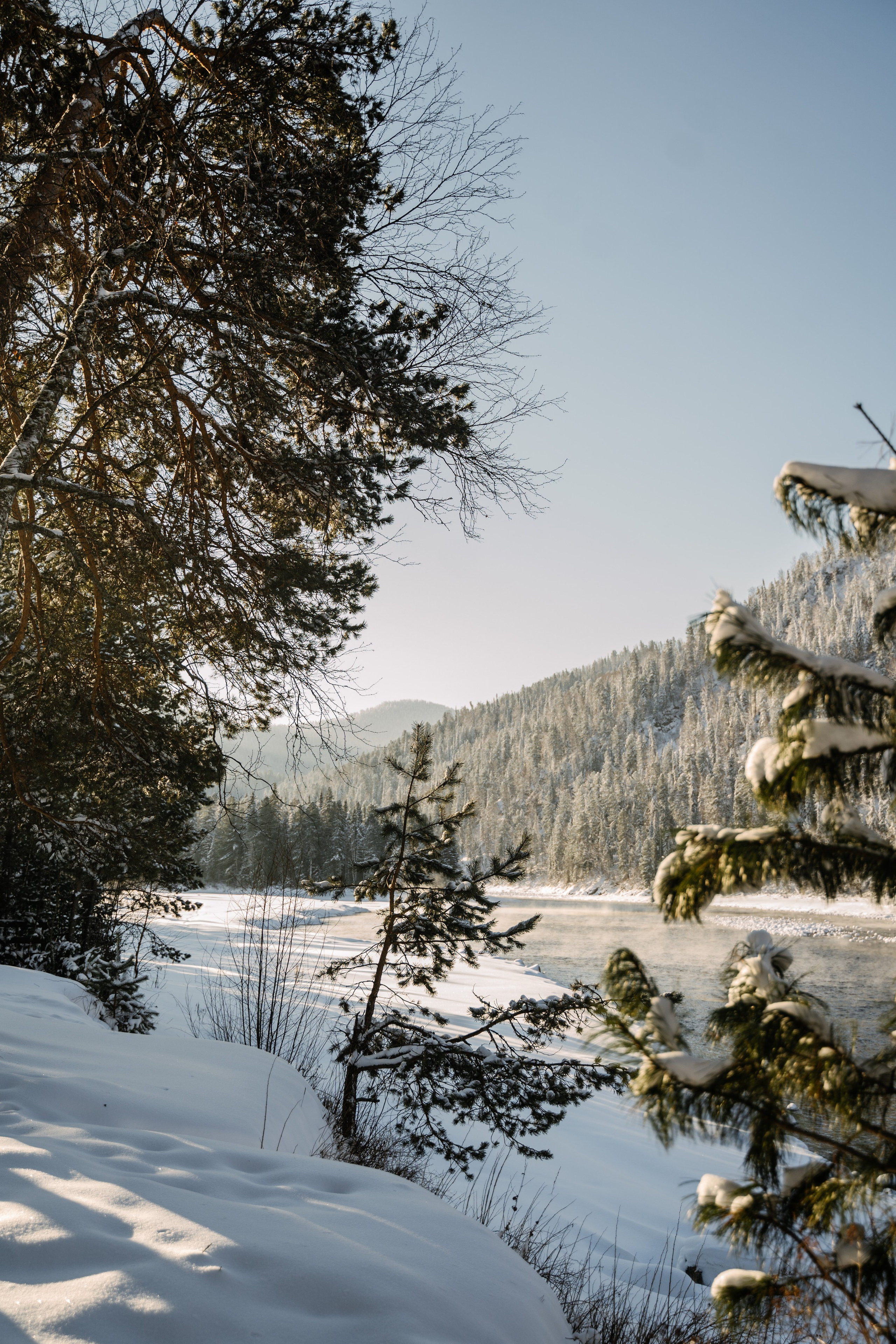 Релекс ТЕЛЕЦКОЕ. Фотограф Ольга Пучкова