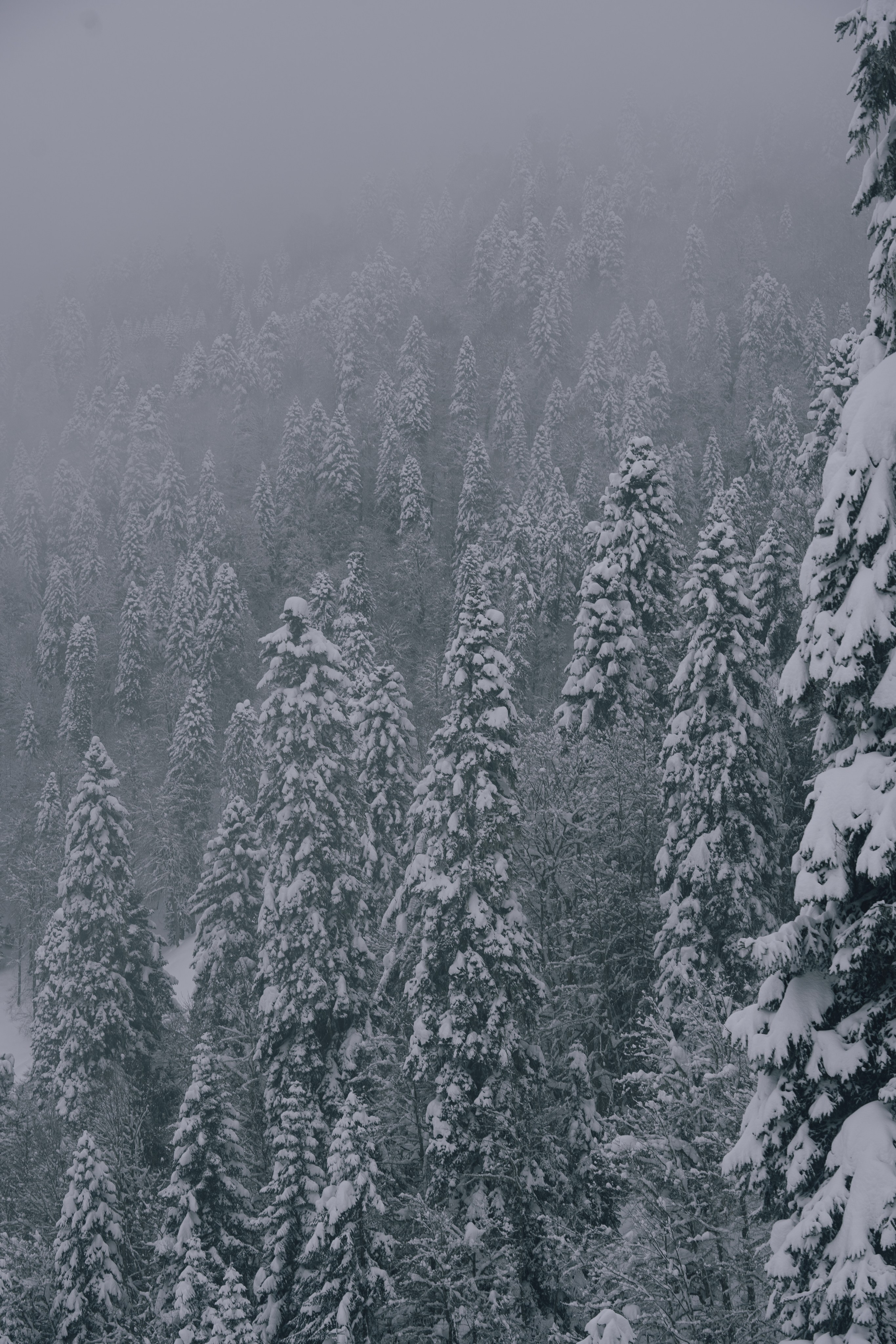 Путешествия и пейзаж. Репортажный фотограф в Красной Поляне и Сочи Павлюченко Екатерина