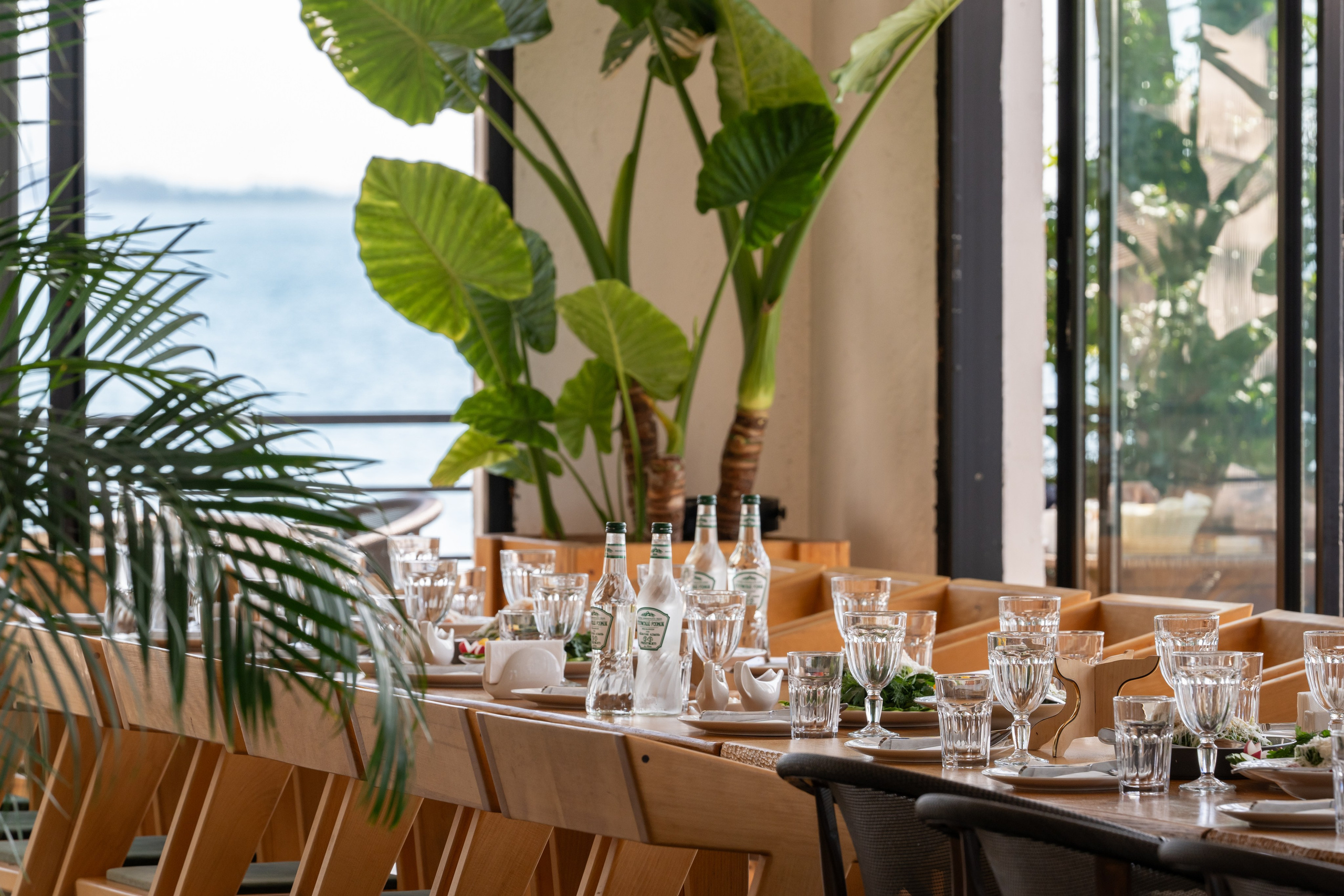 Mice мероприятие — тур по Абхазии. Репортажный фотограф в Красной Поляне и Сочи Павлюченко Екатерина