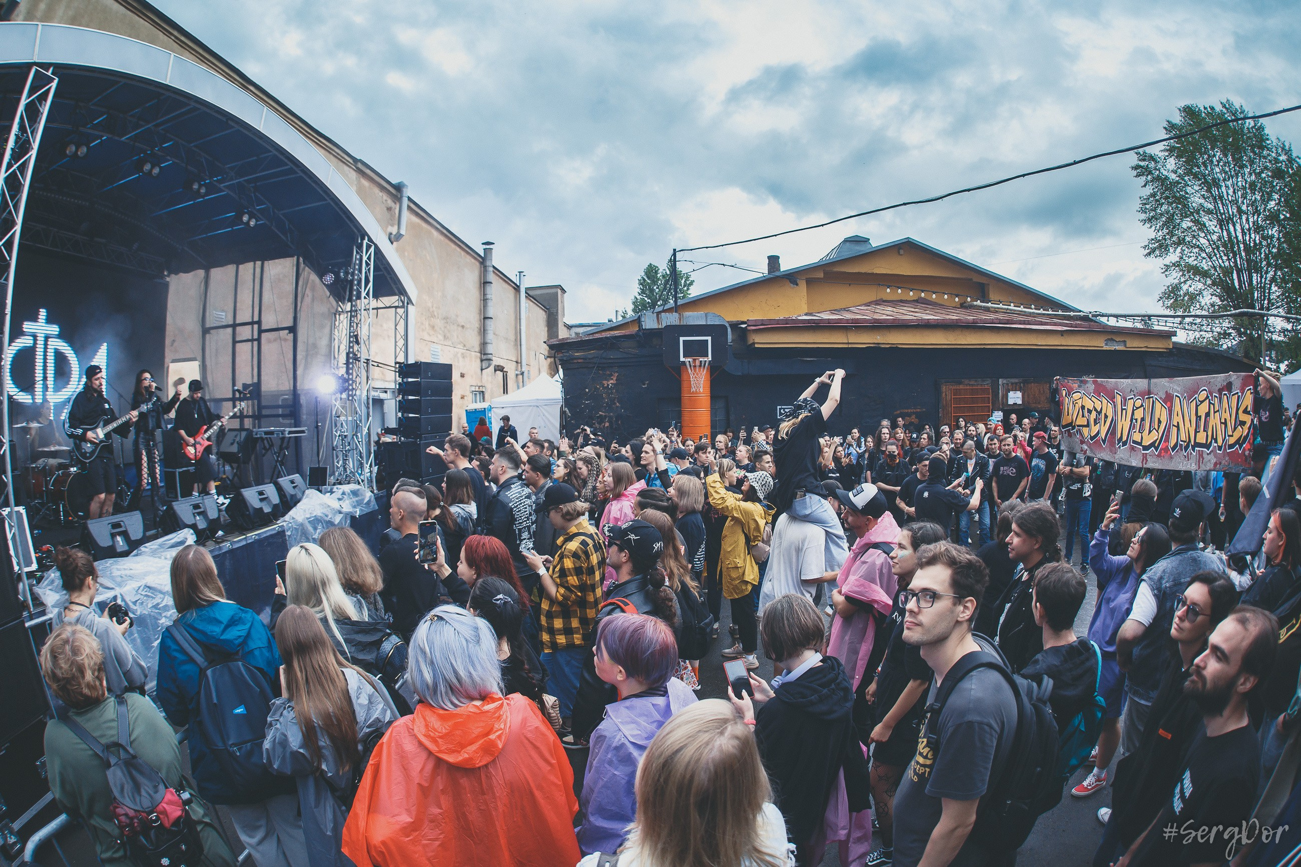 астра, Ася Зелёная, фестиваль, Живой, Зелёная сцена, Санкт-Петербург, СПб, 10.08.2024, SergDor, 10 августа 2024 года, #SergDor, дебют, первое выступление, первый концерт