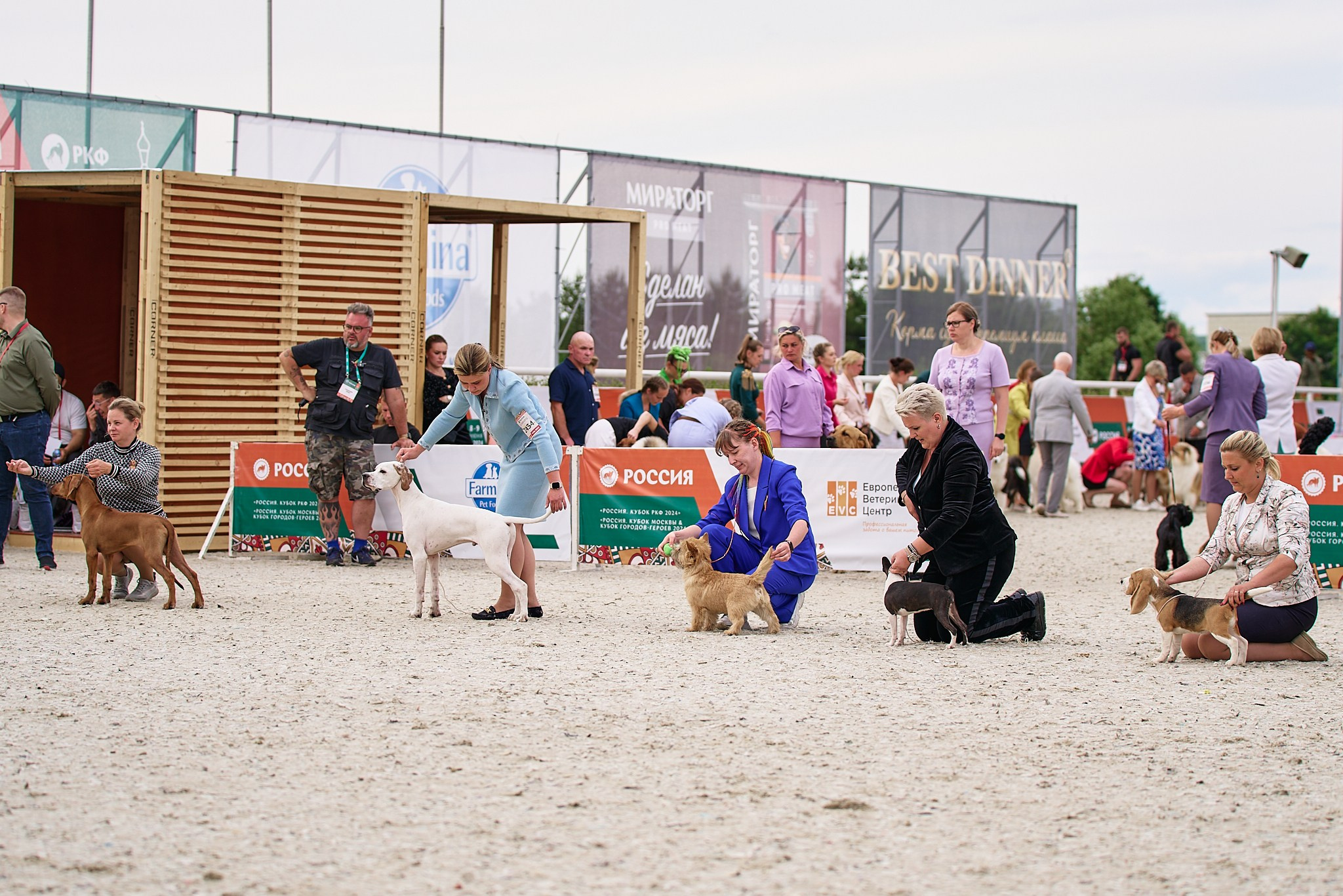 09.06.2024, «РОССИЯ. КУБОК МОСКВЫ 2024 & КУБОК ГОРОДОВ-ГЕРОЕВ»