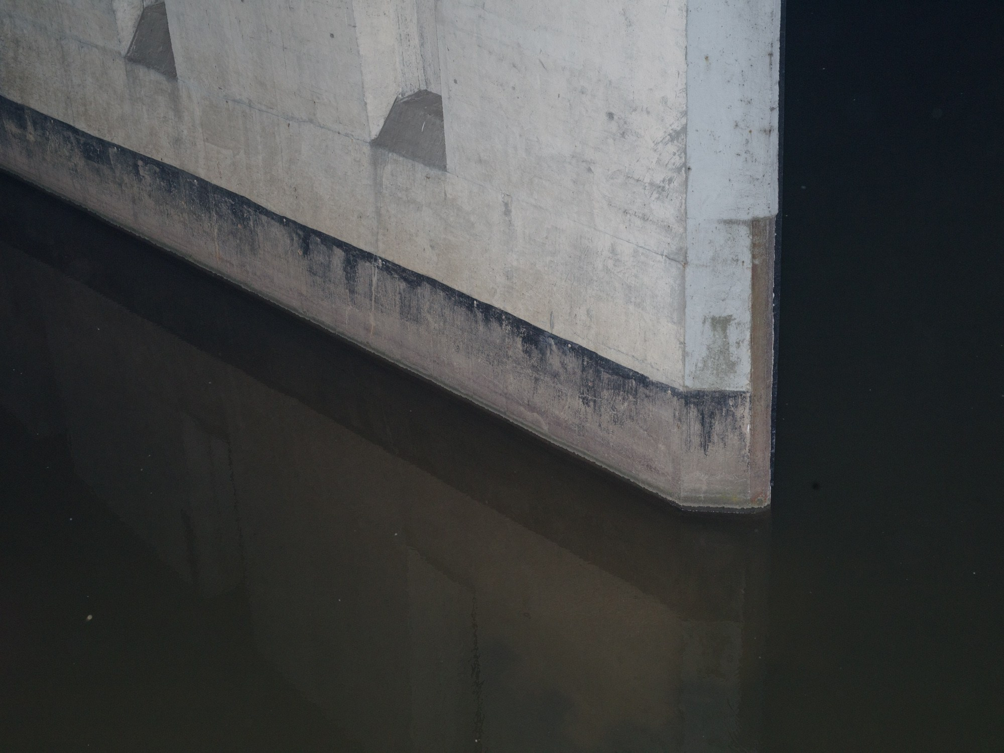 Section 13.4. Photographer, Documentary and Art
