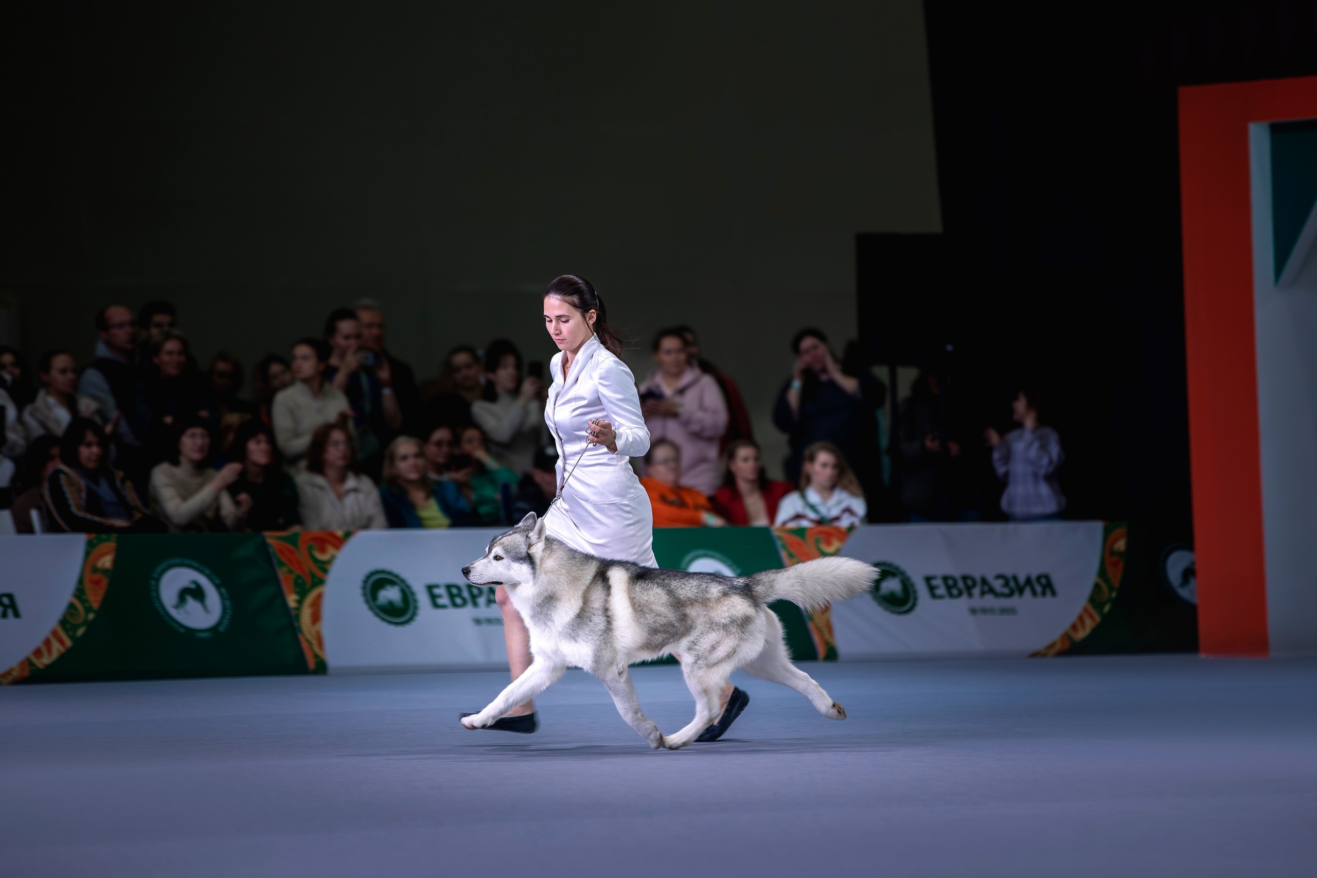 Евразия 2023. Фотограф анималист в Москве Майорова Евгения