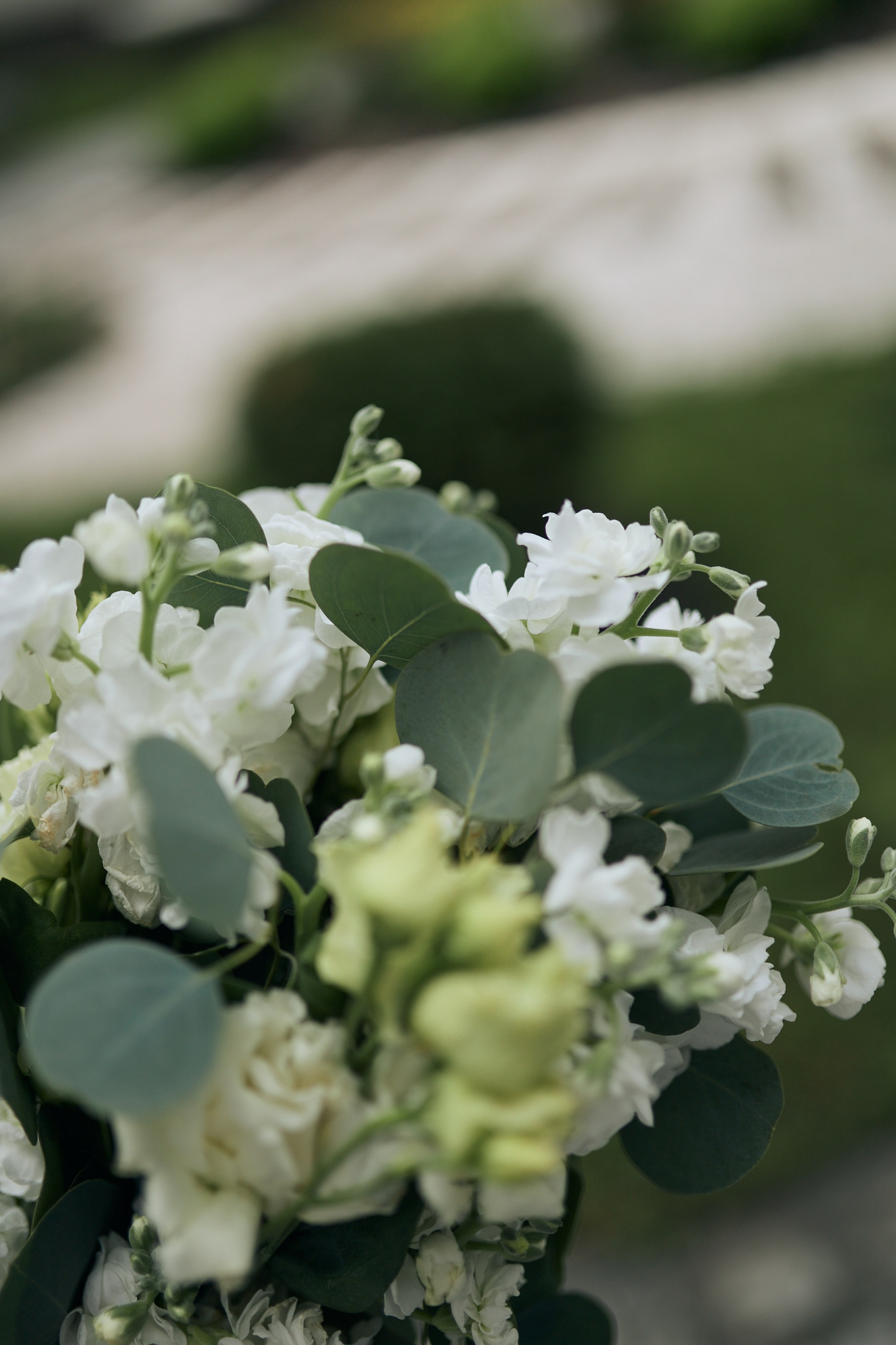 Ирина и Дмитрий. 22.08.2025. Алина Каравайцева. Фотограф в городе Барнаул