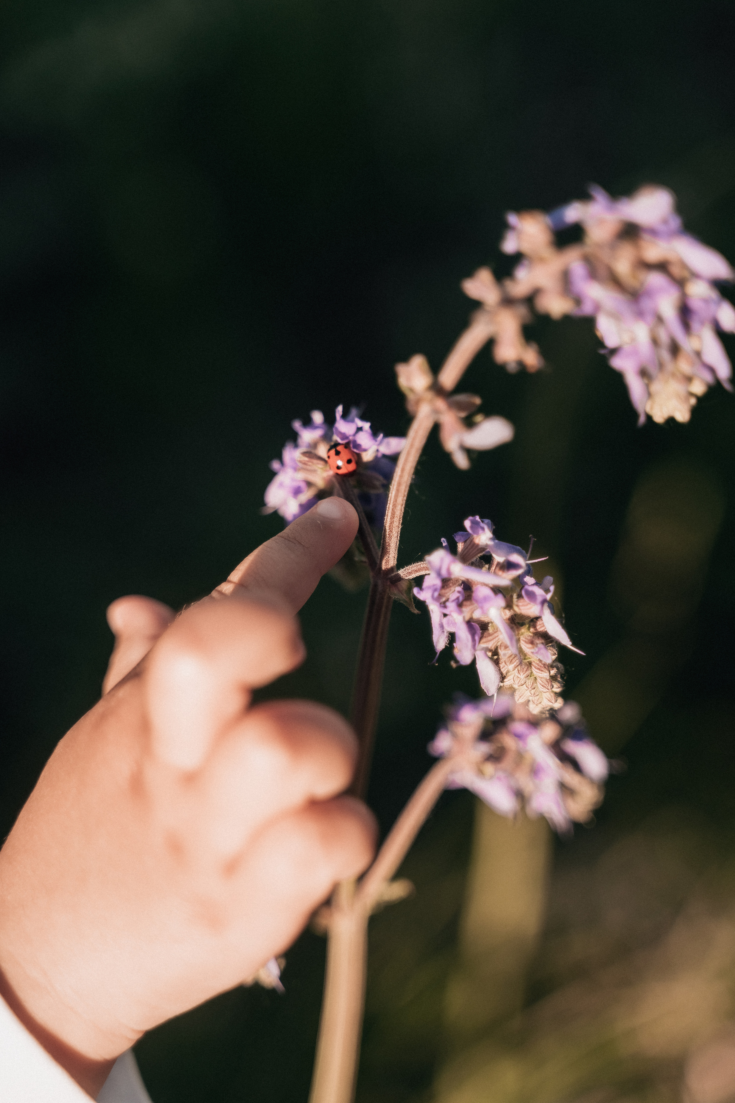 Алия Тимур Сара. Свадебный семейный фотограф Ксения Божко Уфа Раевка никах в Нарыстау