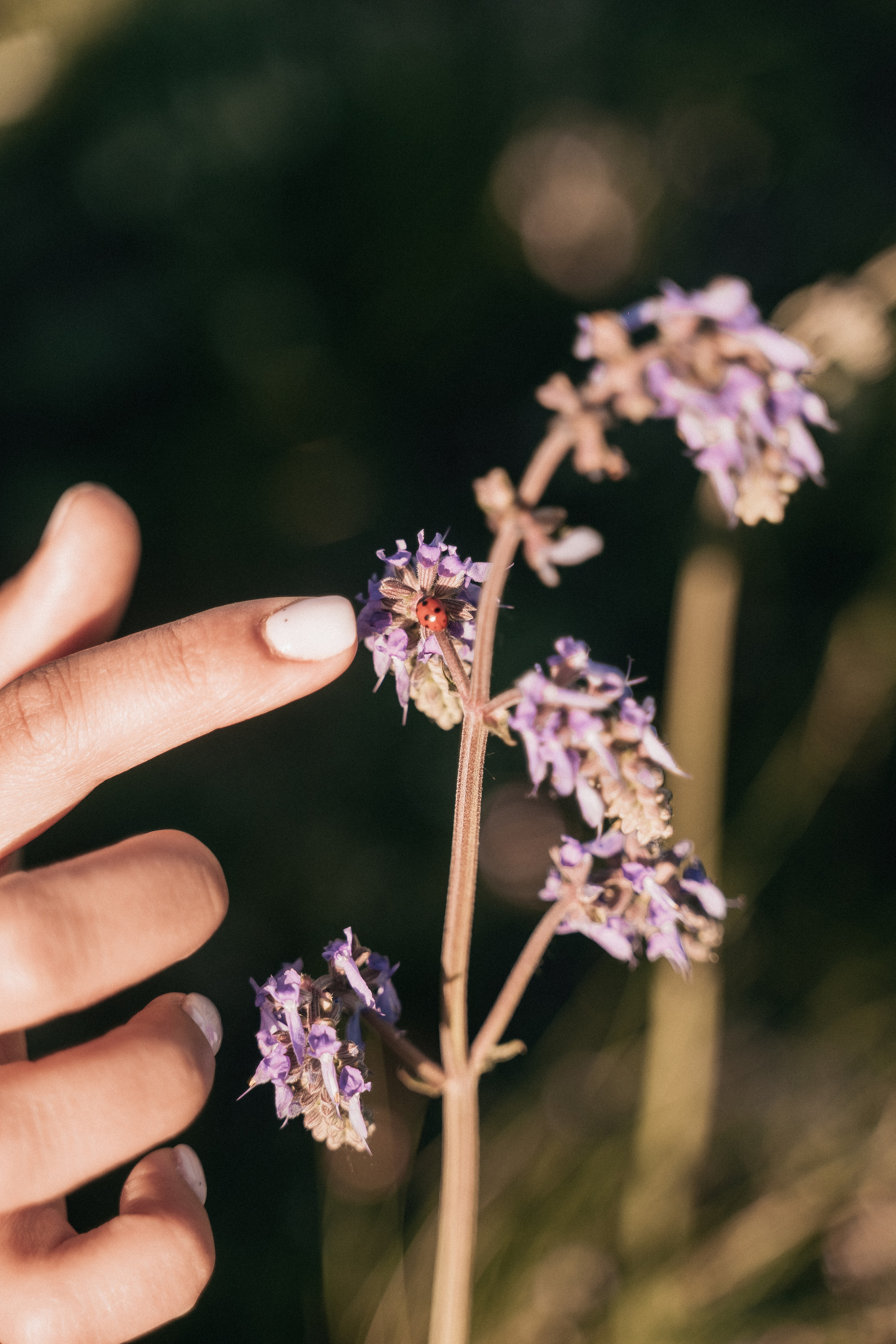 Алия Тимур Сара. Свадебный семейный фотограф Ксения Божко Уфа Раевка никах в Нарыстау