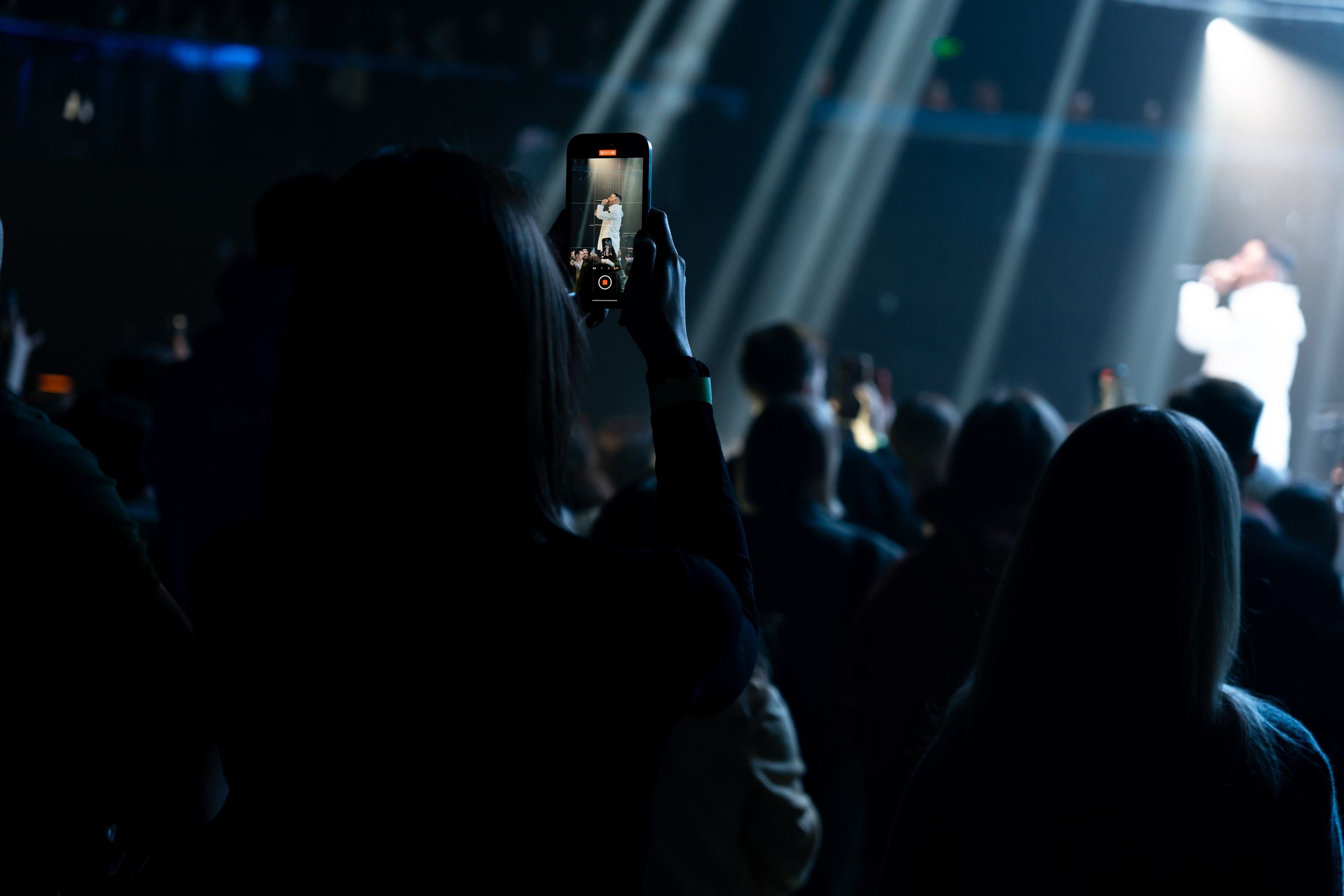 L’One. Магия музыки в кадре: Концертная Фотография