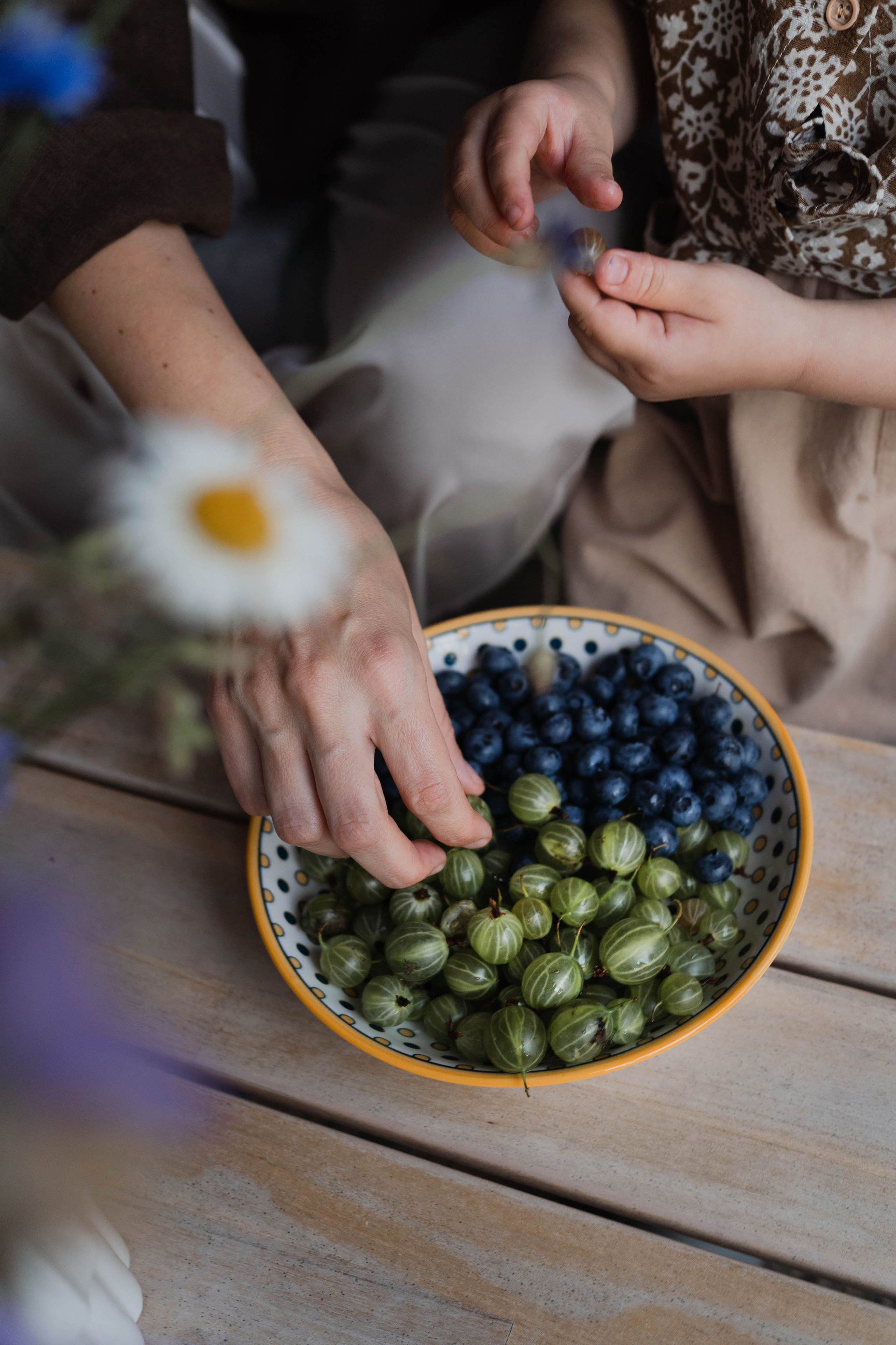 Семейные истории. ФОТОГРАФ КСЕНИЯ СОСНОВСКАЯ