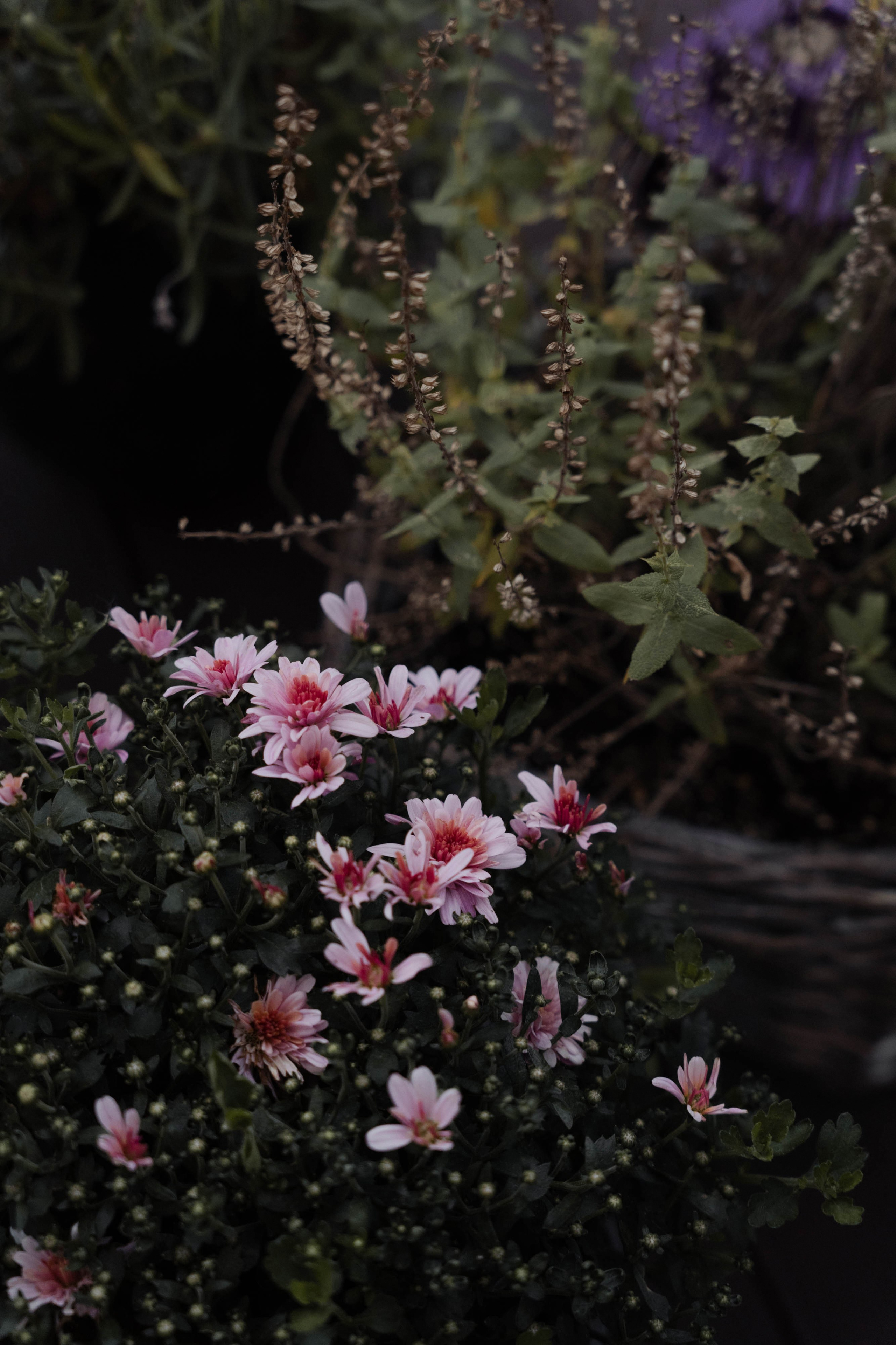 Семейные истории. ФОТОГРАФ КСЕНИЯ СОСНОВСКАЯ