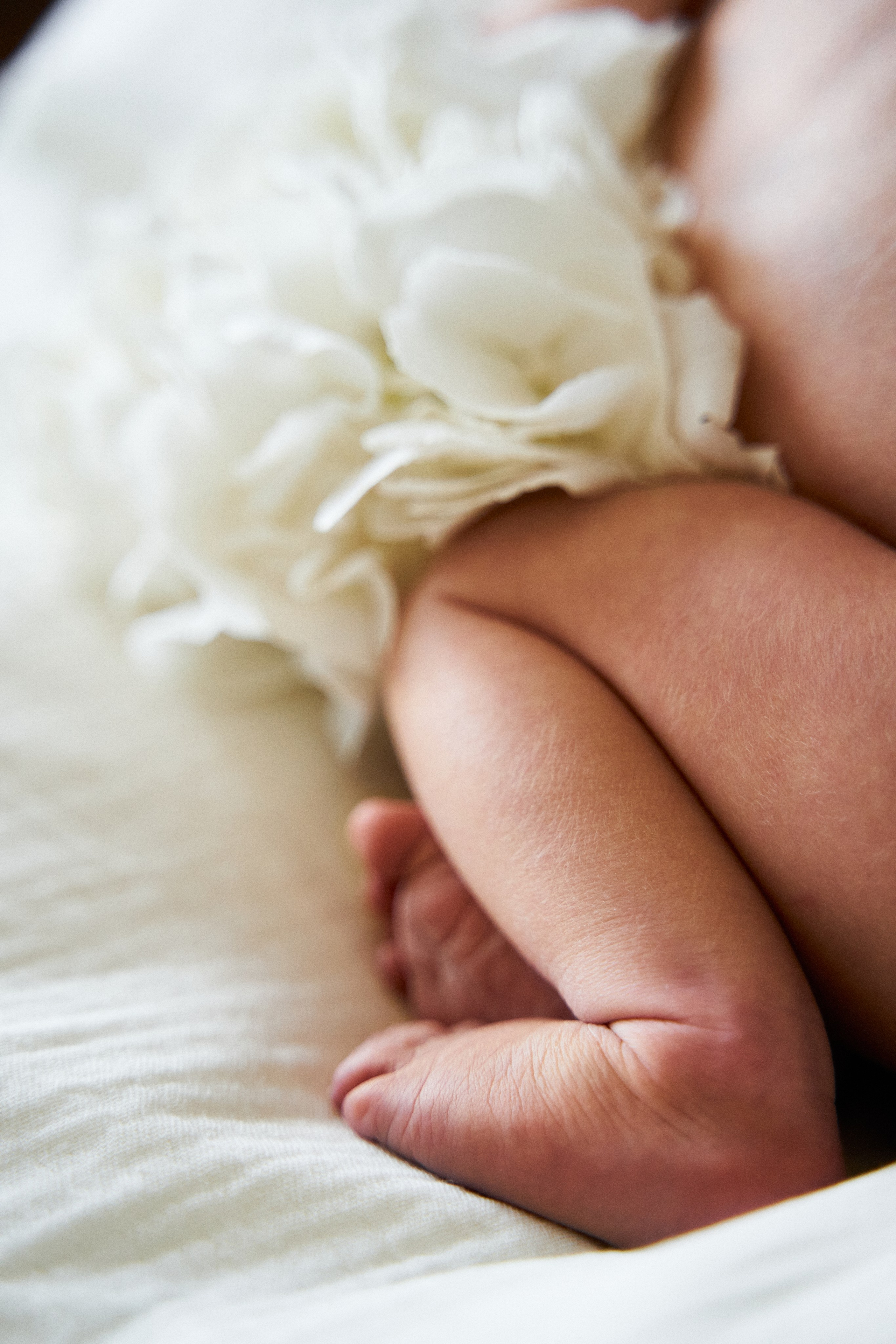 Семейная. Семейный фотограф в городе Надым Наталья Жигунова