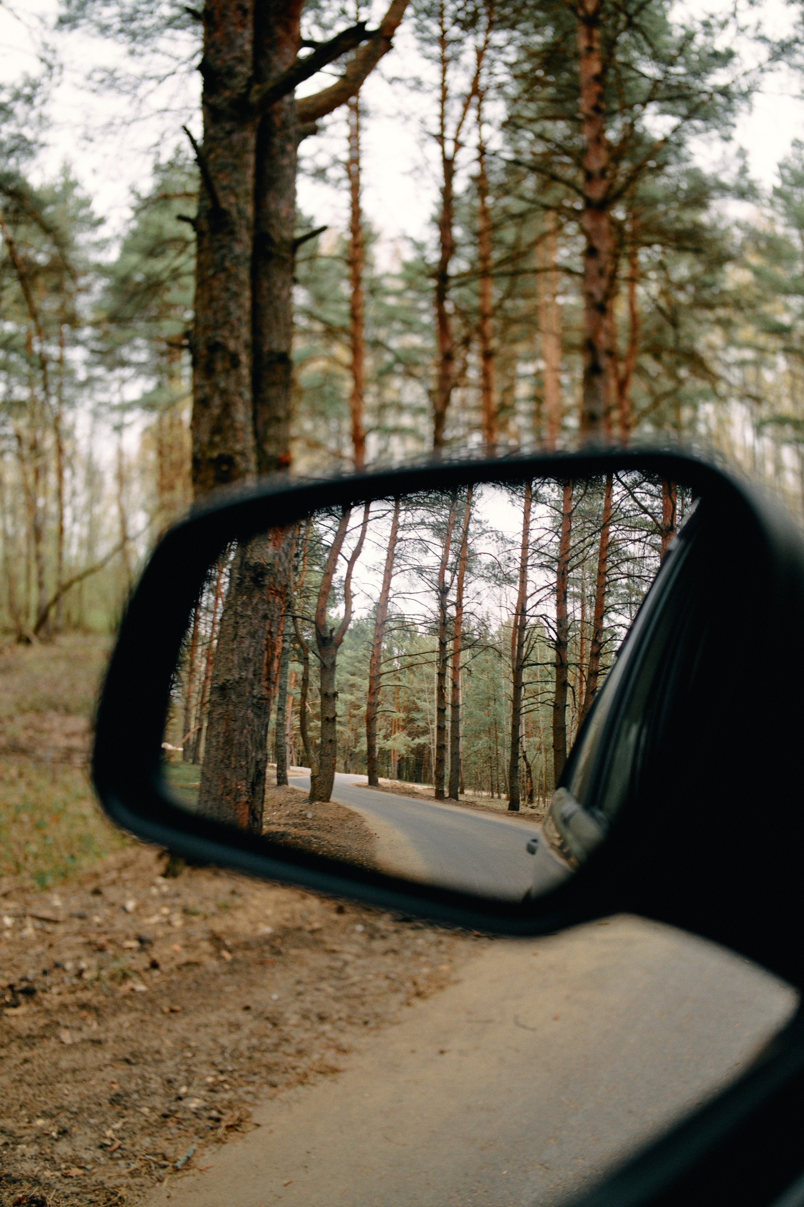 Бутик-отель Поле летом. Профессиональный Фотограф во Владимире, в Москве и в Суздале — Полина Романычева