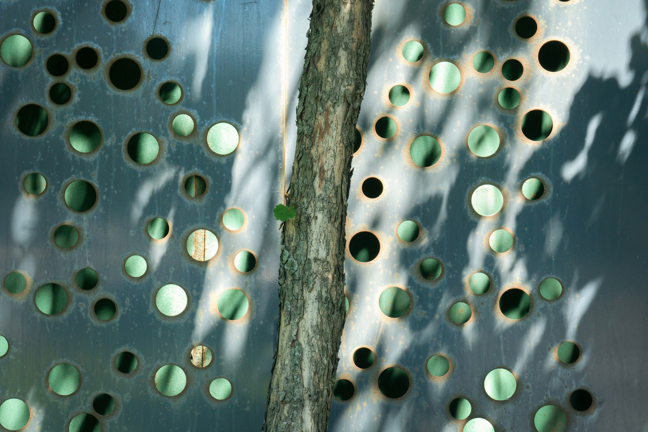 Симуляторы (Каталог № 3). Главная