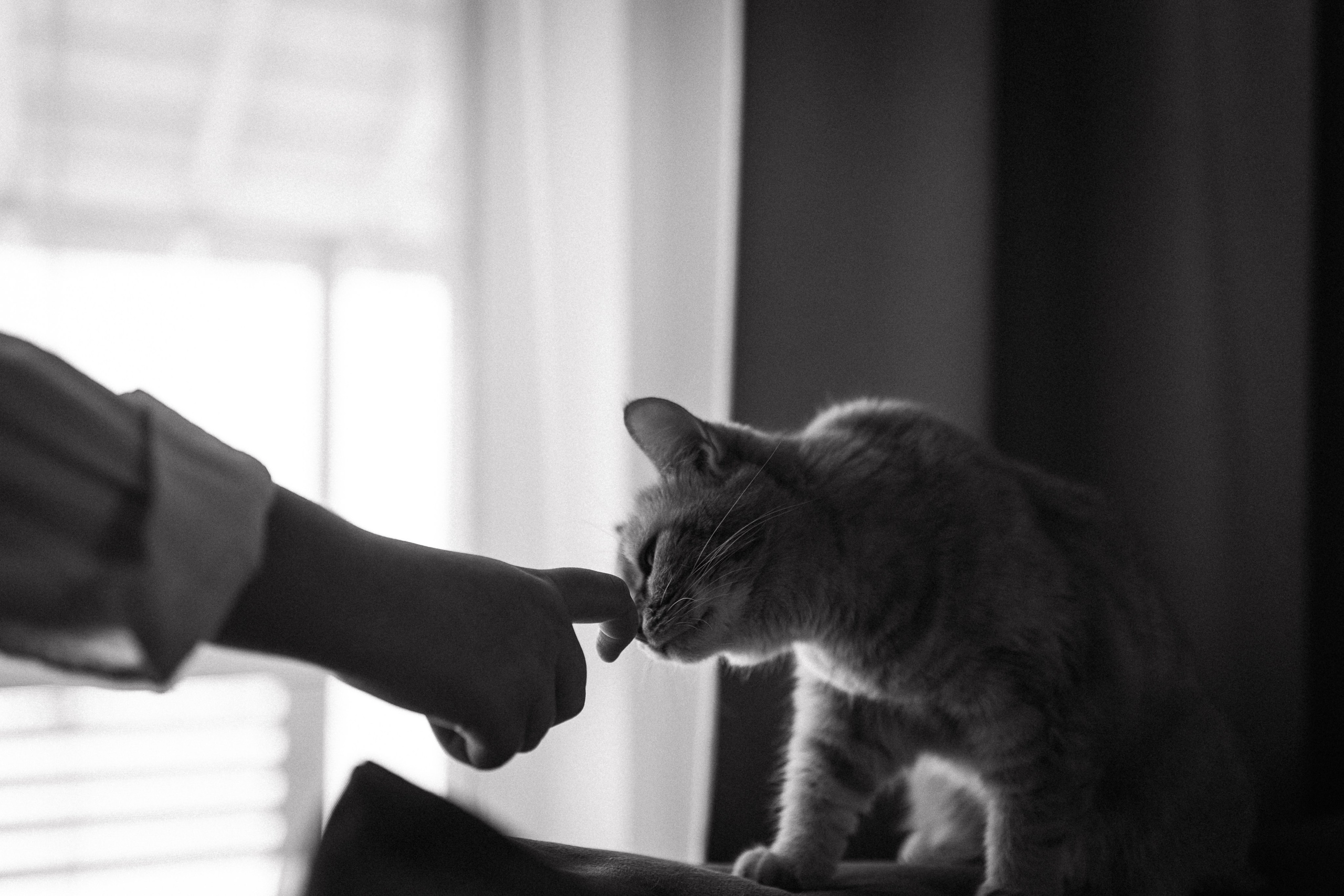 Счастливы вместе. Семейный фотограф в Нижнем Новгороде Доронина Юлия