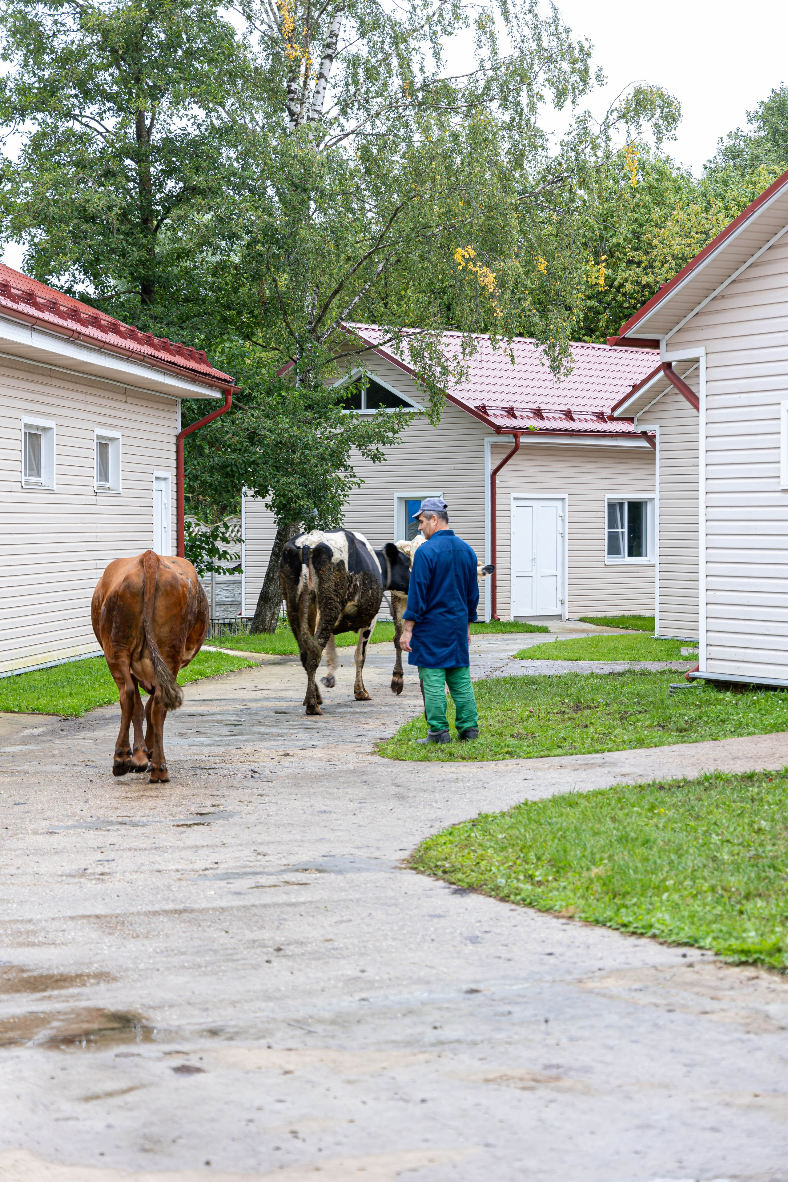 Тeam Building РОТЕКС. Фото и видео съемка Ваших мероприятий